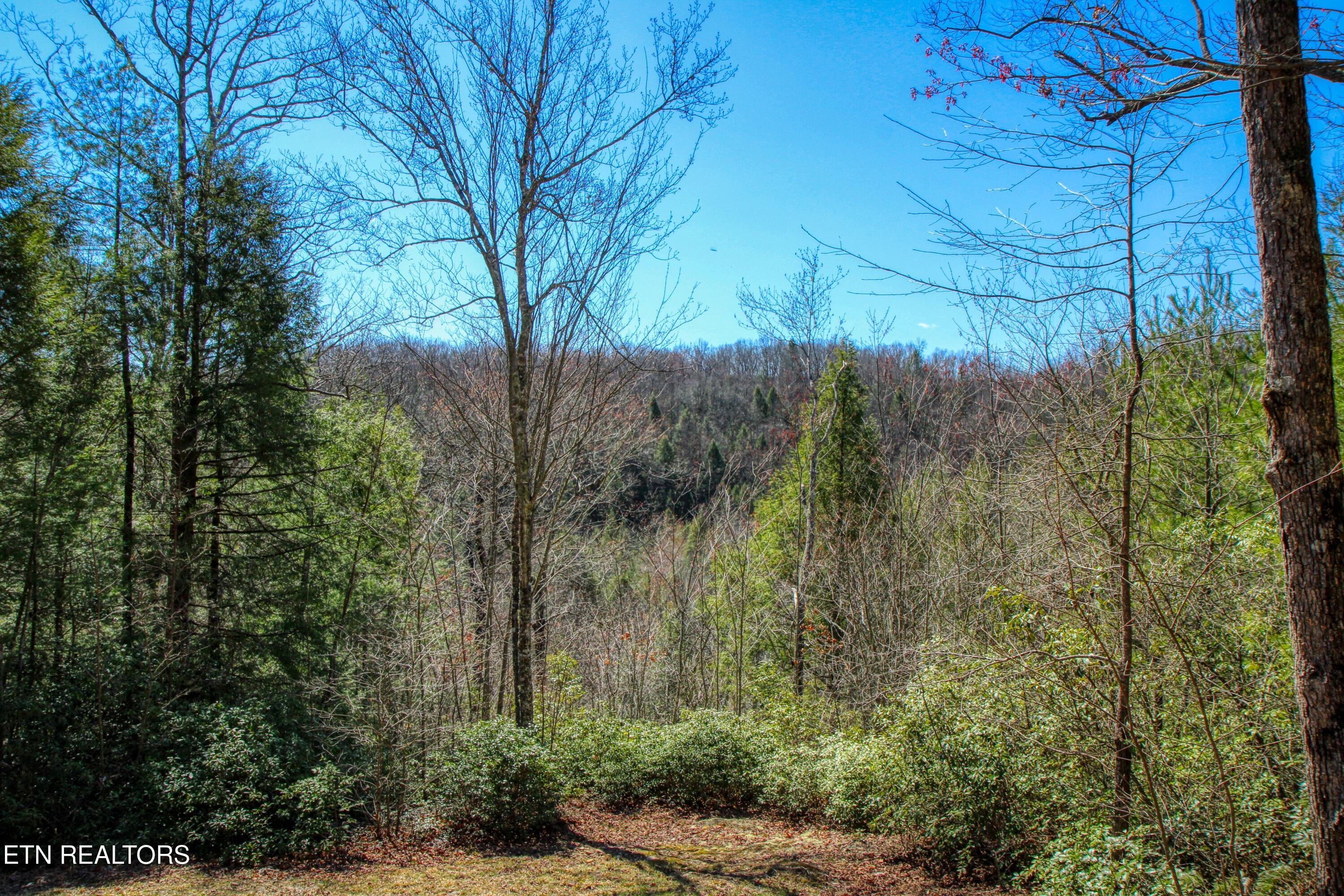 145 Horse Haven Road Allardt TN 38504