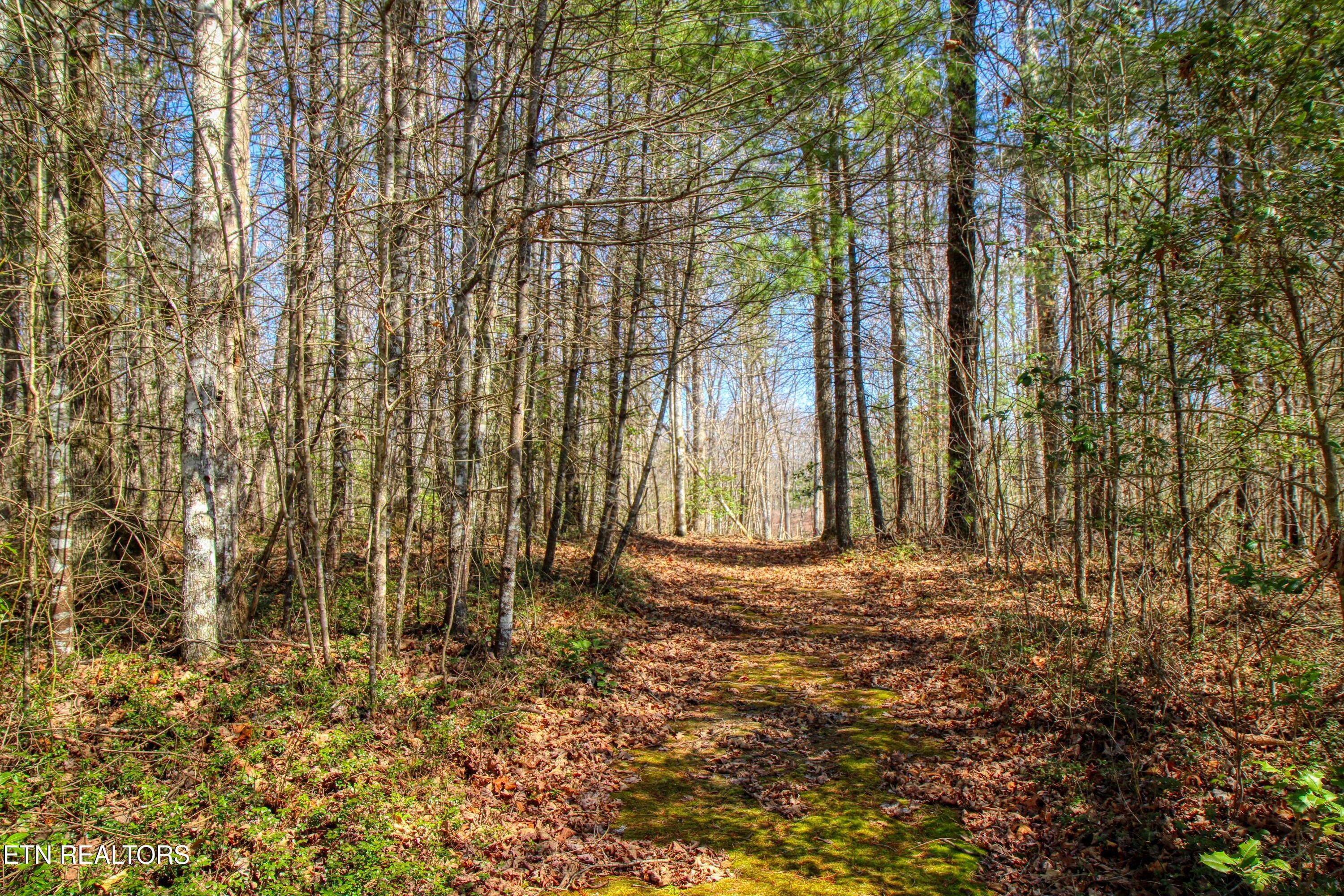 145 Horse Haven Road Allardt TN 38504