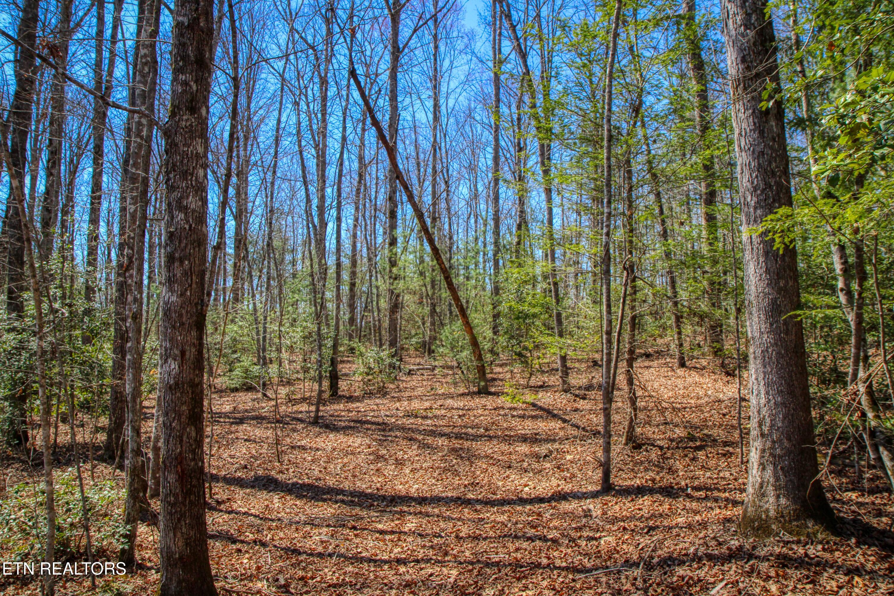 145 Horse Haven Road Allardt TN 38504
