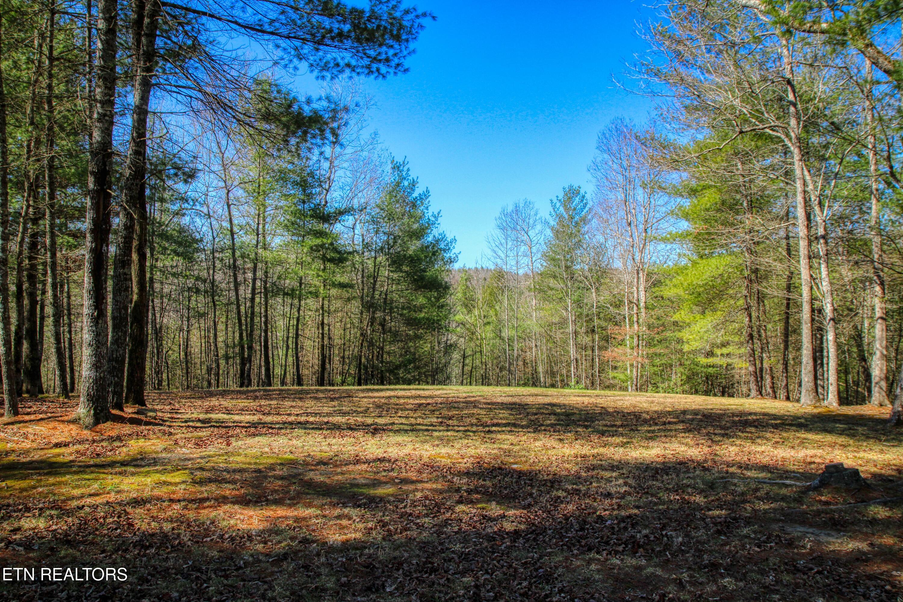 145 Horse Haven Road Allardt TN 38504