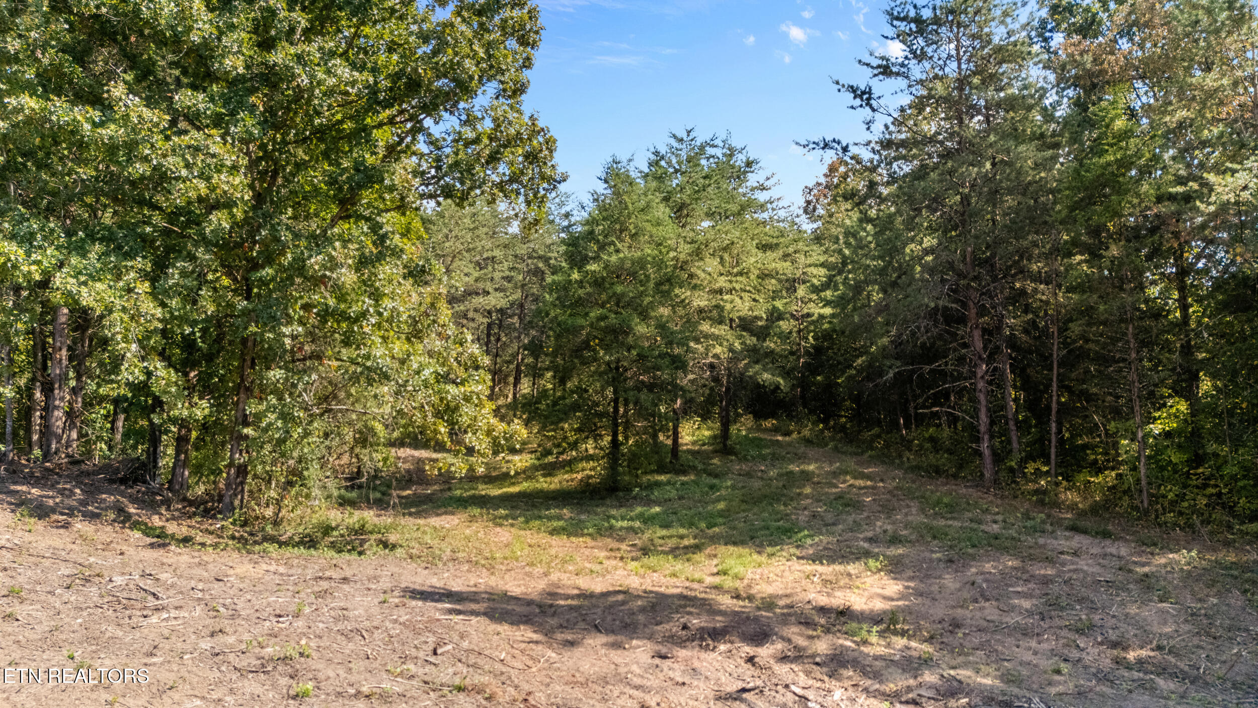 6222 Thomas Weaver Road Knoxville TN 37938