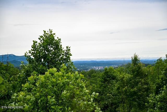 1816 N Dogwood Lane Sevierville TN 37876