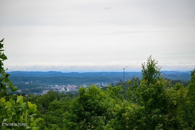 1816 N Dogwood Lane Sevierville TN 37876