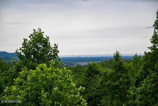1816 N Dogwood Lane Sevierville TN 37876