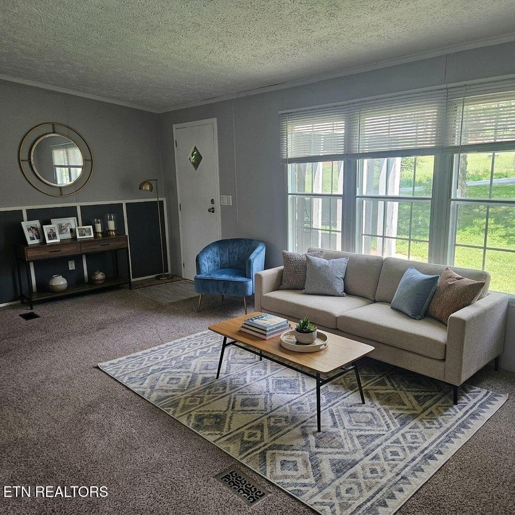 121 Harness Road New Tazewell TN 37825