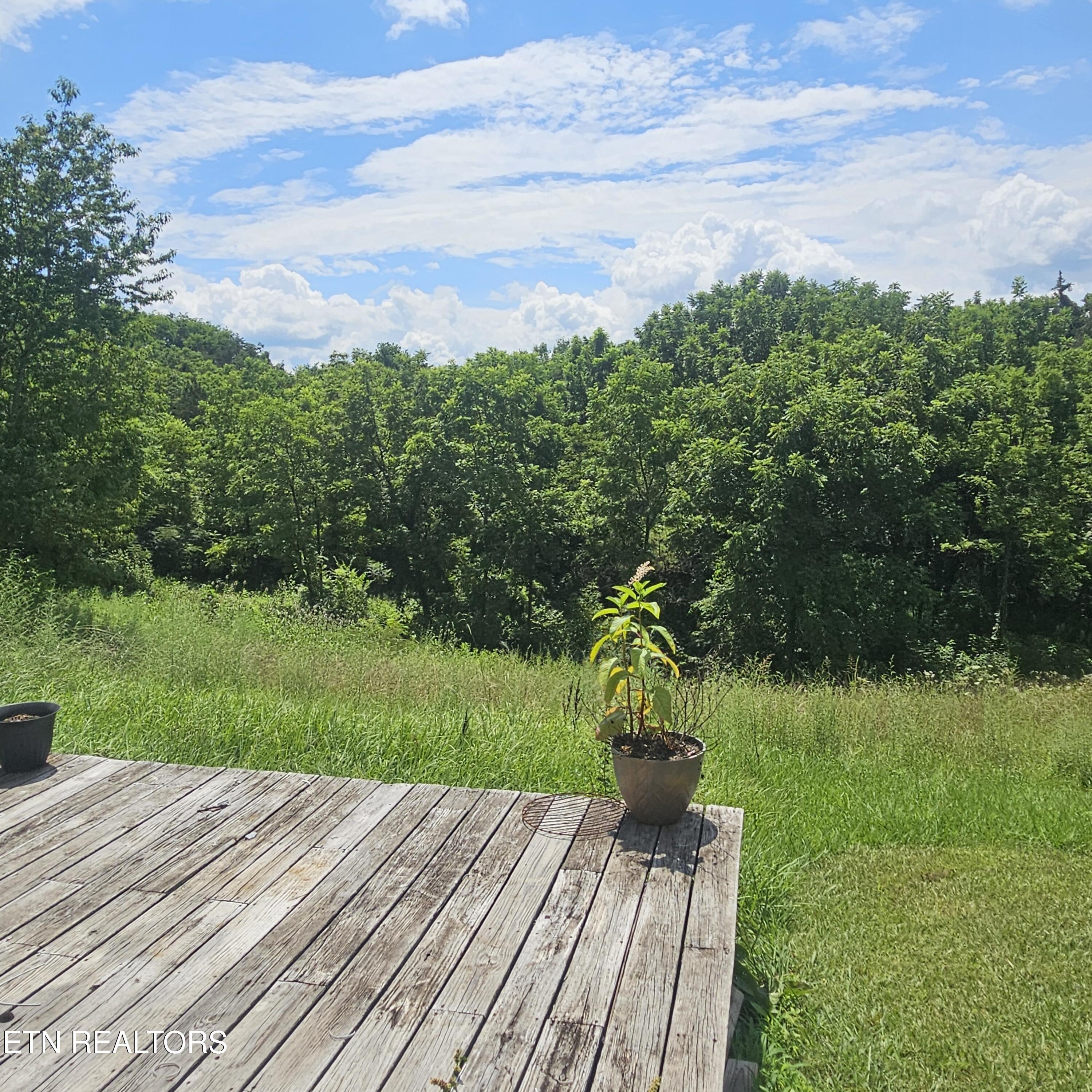 121 Harness Road New Tazewell TN 37825