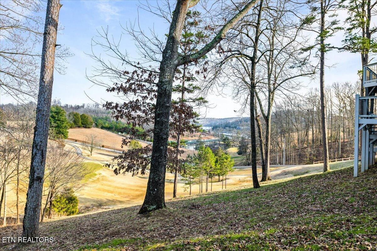 602 Wedgewood Lane Lafollette TN 37766