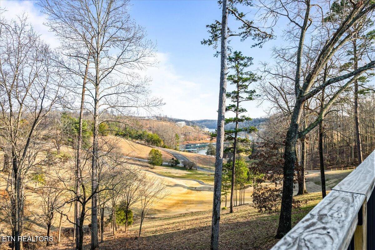 602 Wedgewood Lane Lafollette TN 37766