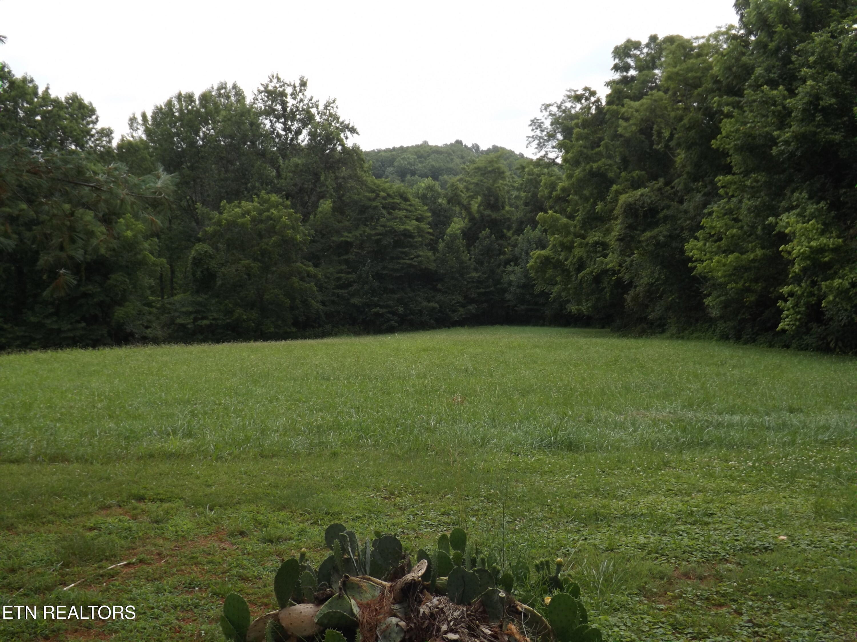 590 Cave Springs Road Tazewell TN 37879