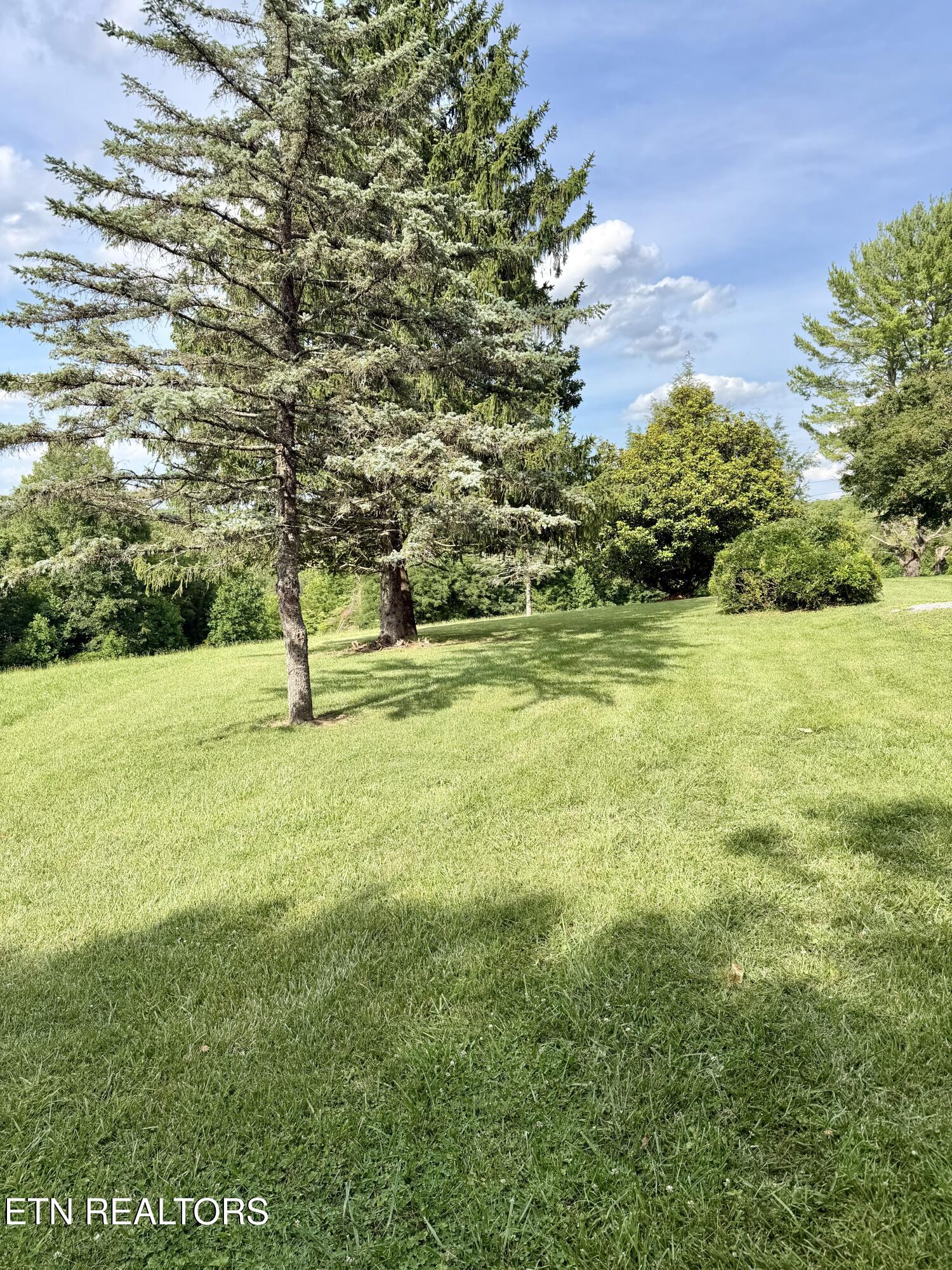 590 Cave Springs Road Tazewell TN 37879