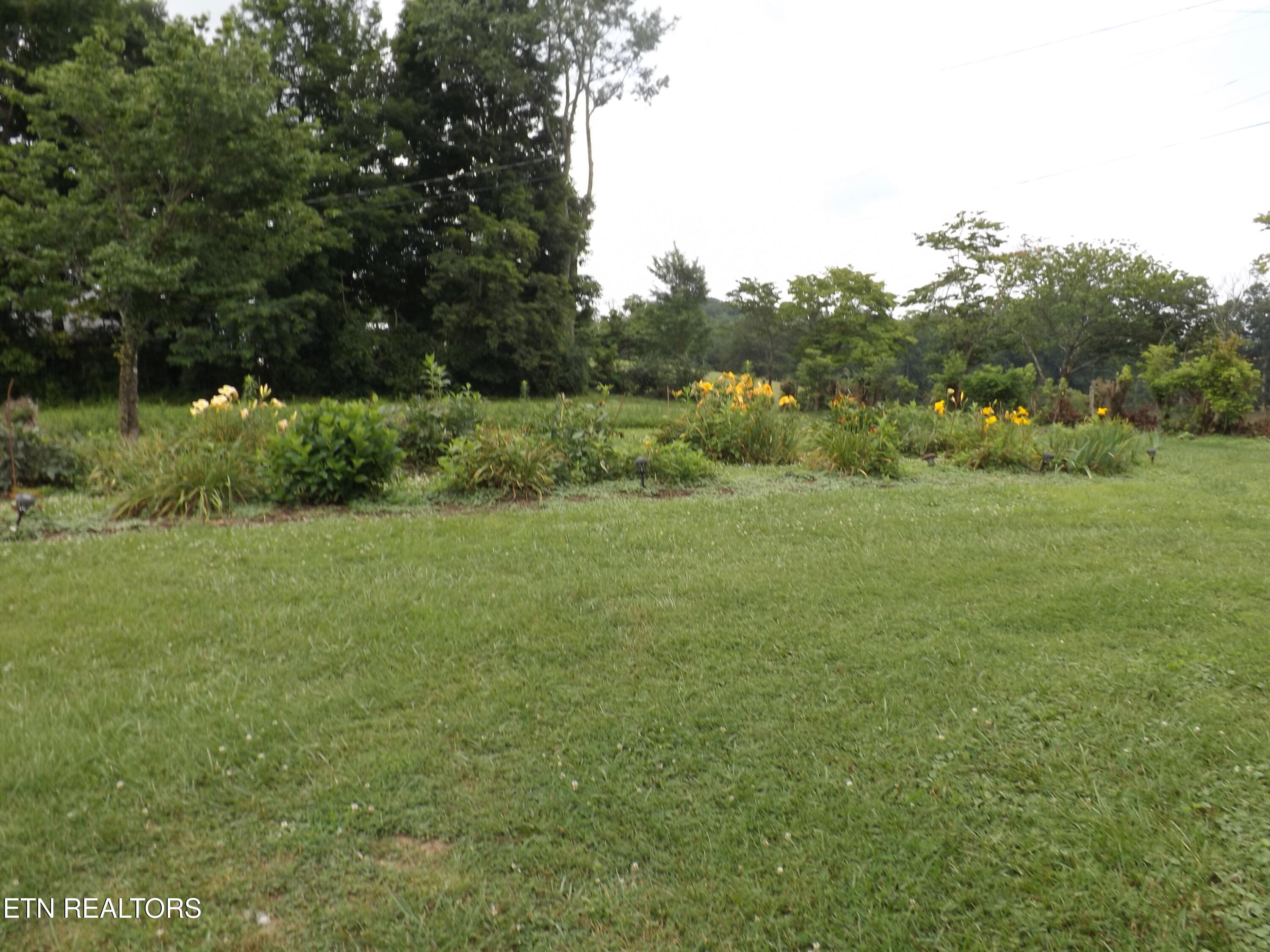 590 Cave Springs Road Tazewell TN 37879