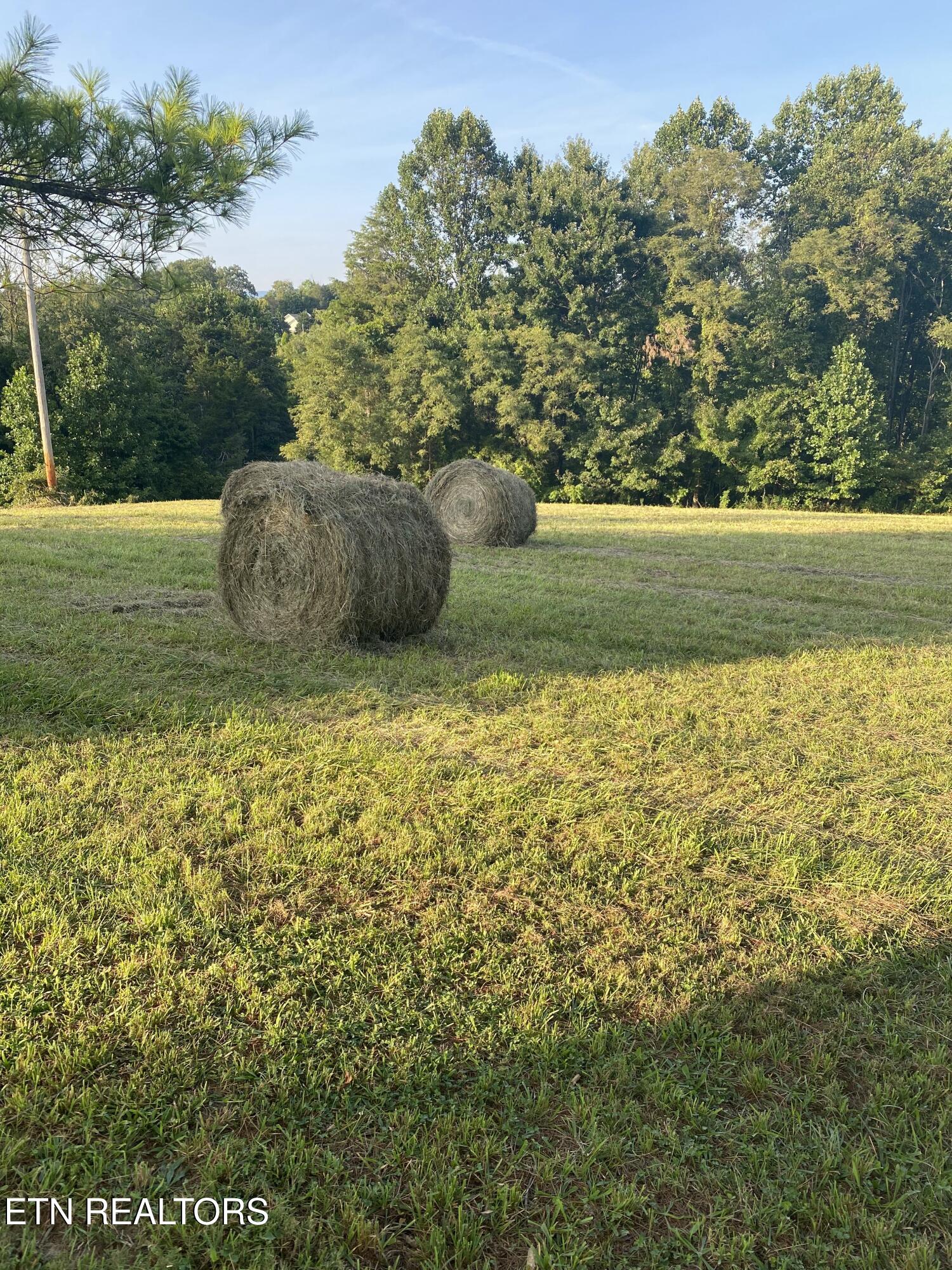 590 Cave Springs Road Tazewell TN 37879