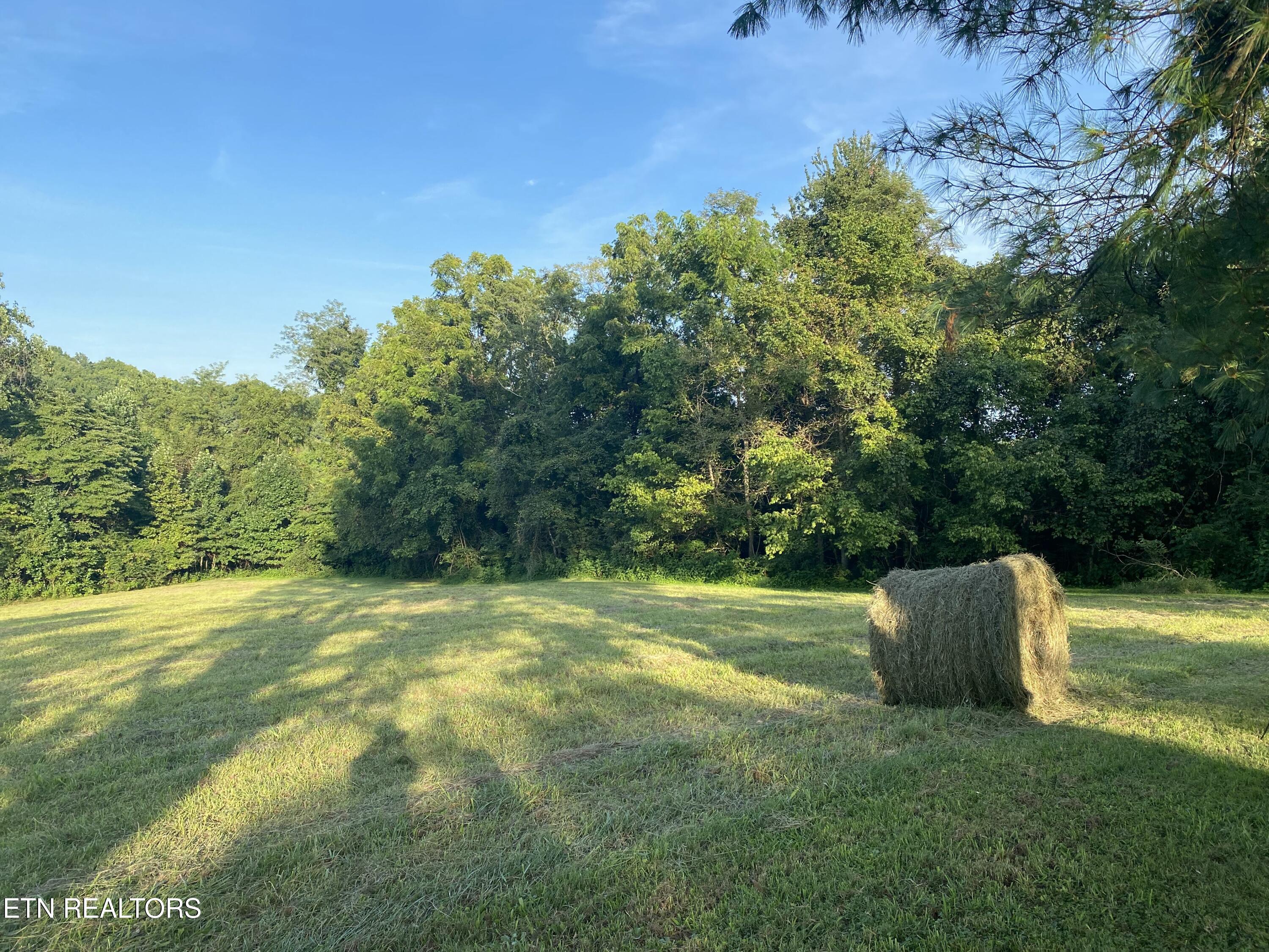 590 Cave Springs Road Tazewell TN 37879