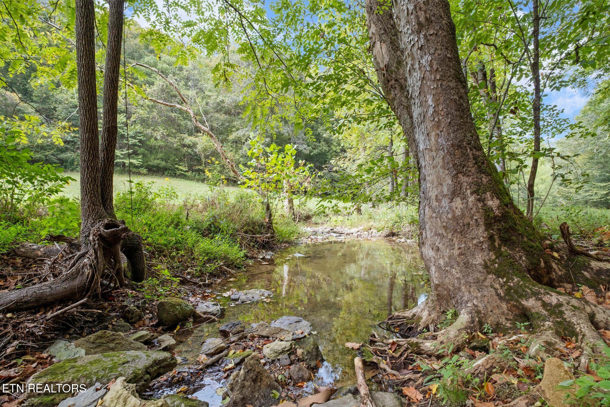 9676 Heard Ridge Road Monroe TN 38573