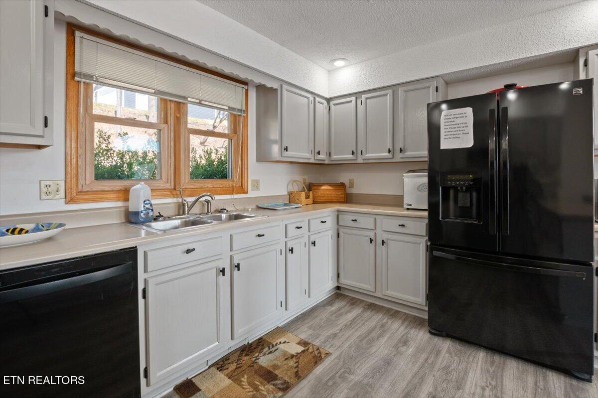 168 Little Buck Lane Lafollette TN 37766