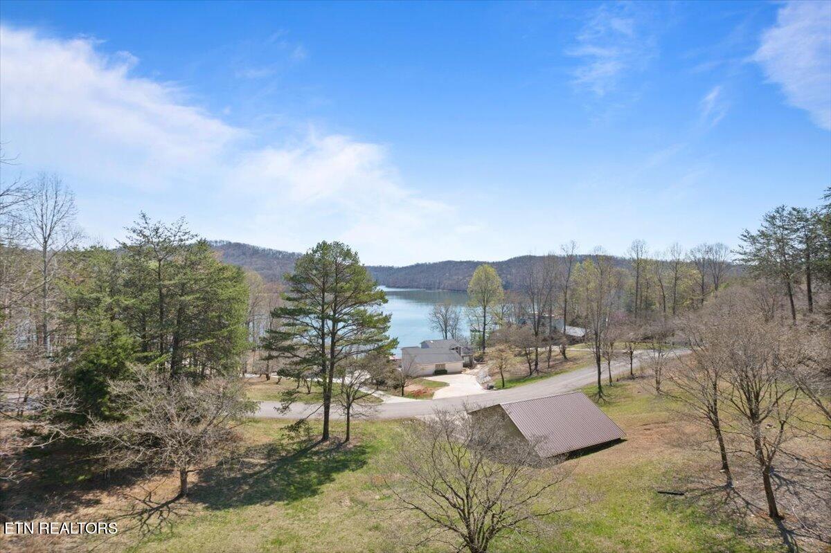 168 Little Buck Lane Lafollette TN 37766