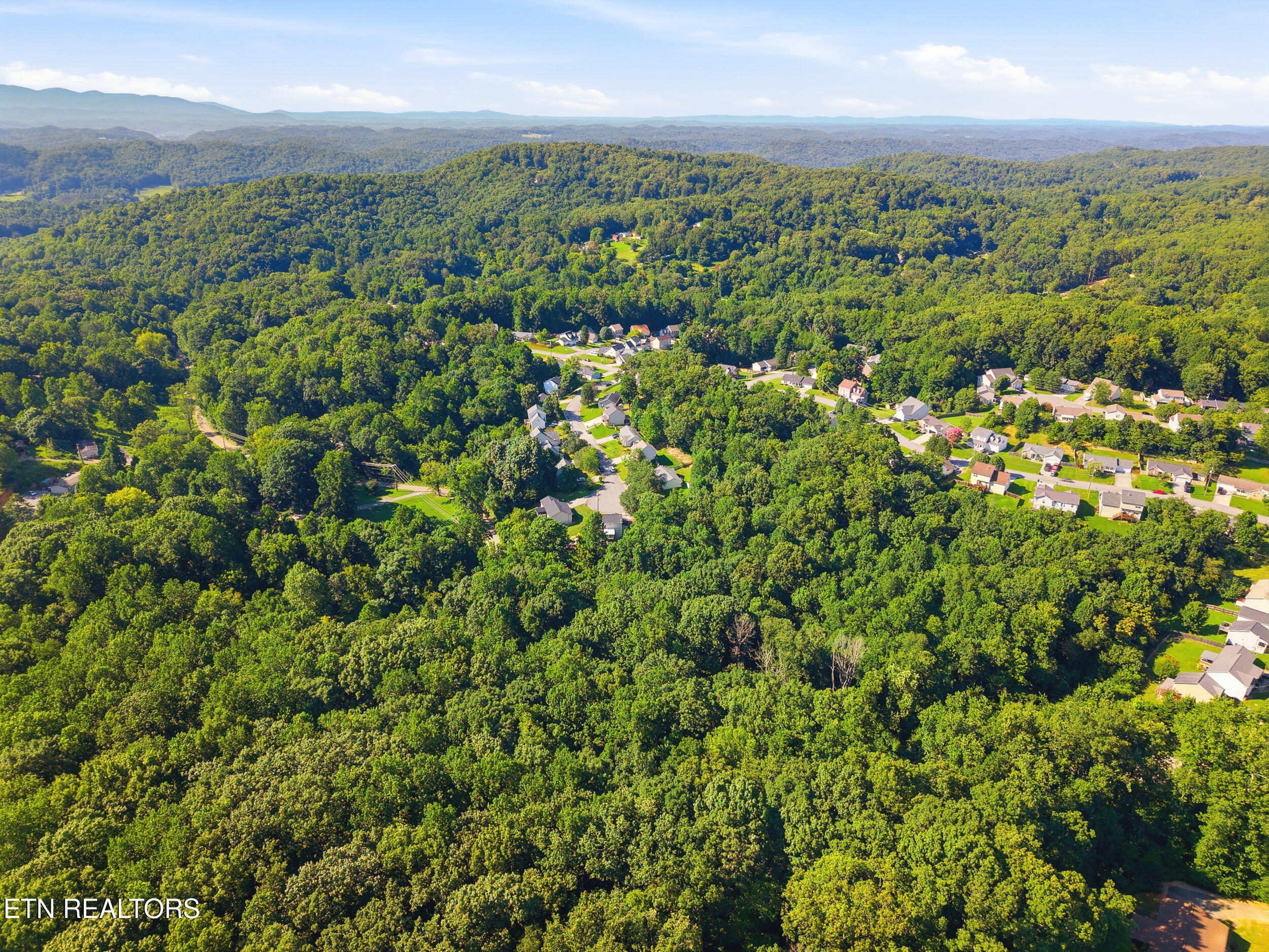 8201 Tangle Grove Lane Powell TN 37849