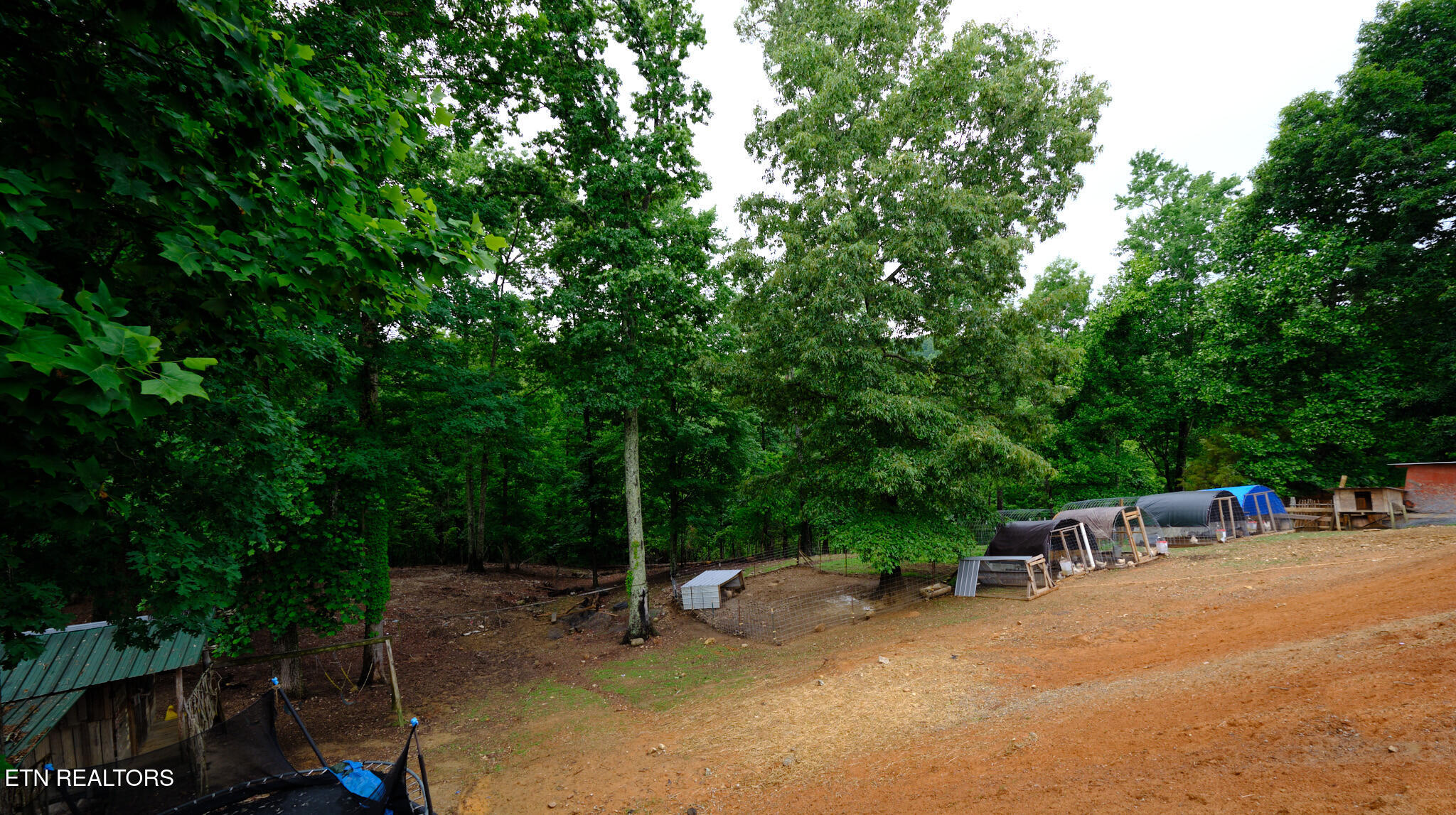110 Moosetrail Lane Powell TN 37849