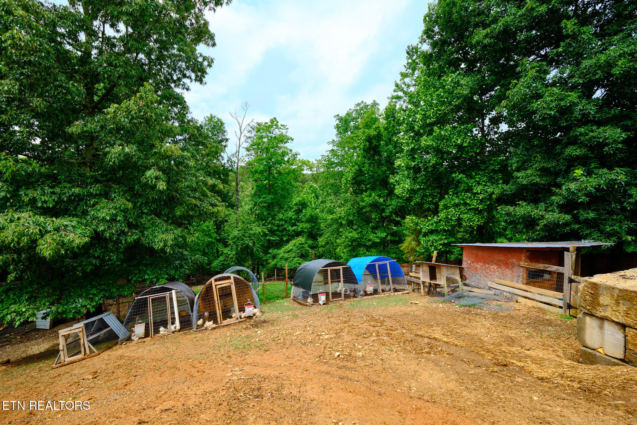 110 Moosetrail Lane Powell TN 37849