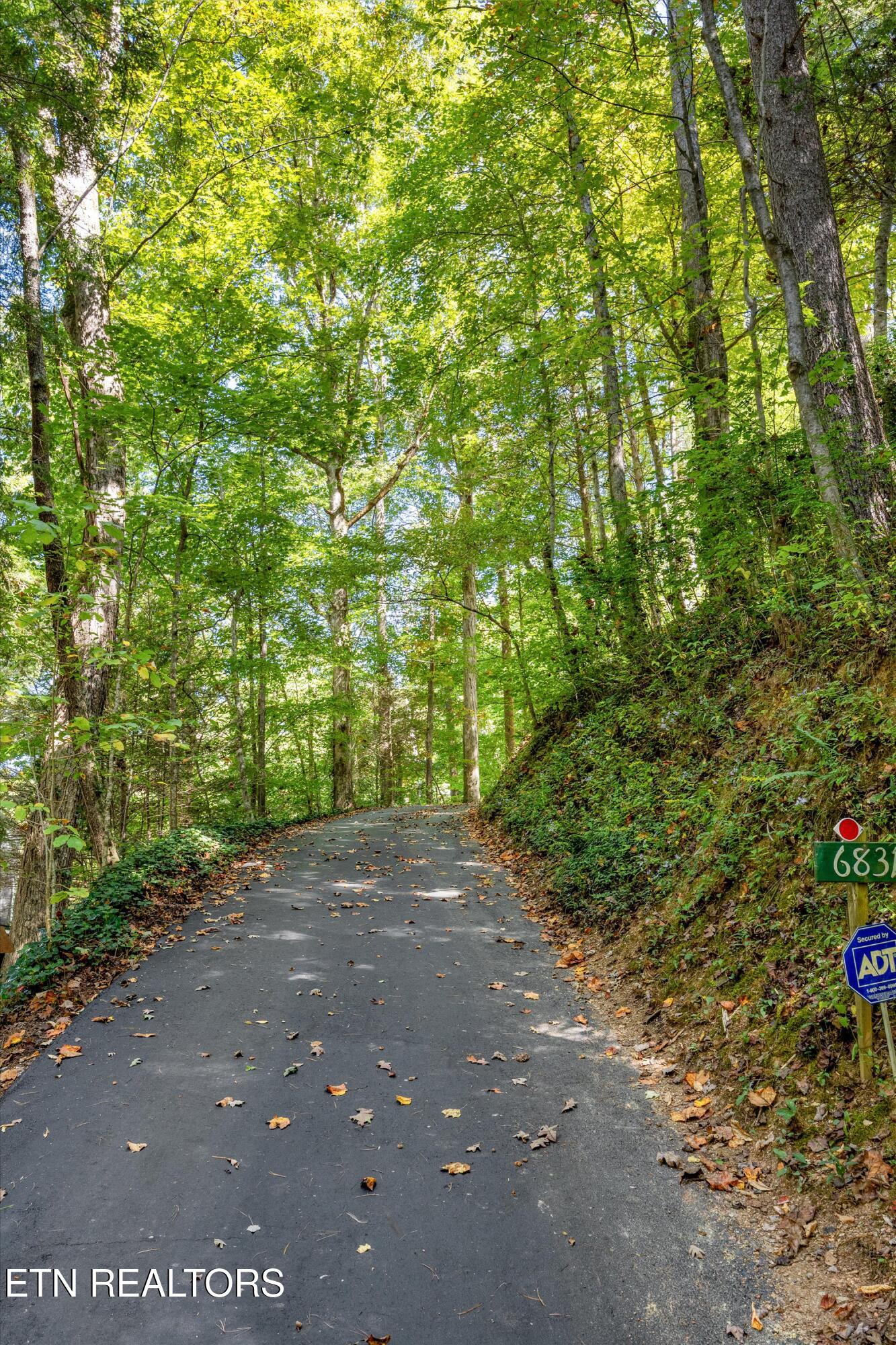 6831 Old Walland Highway Townsend TN 37882