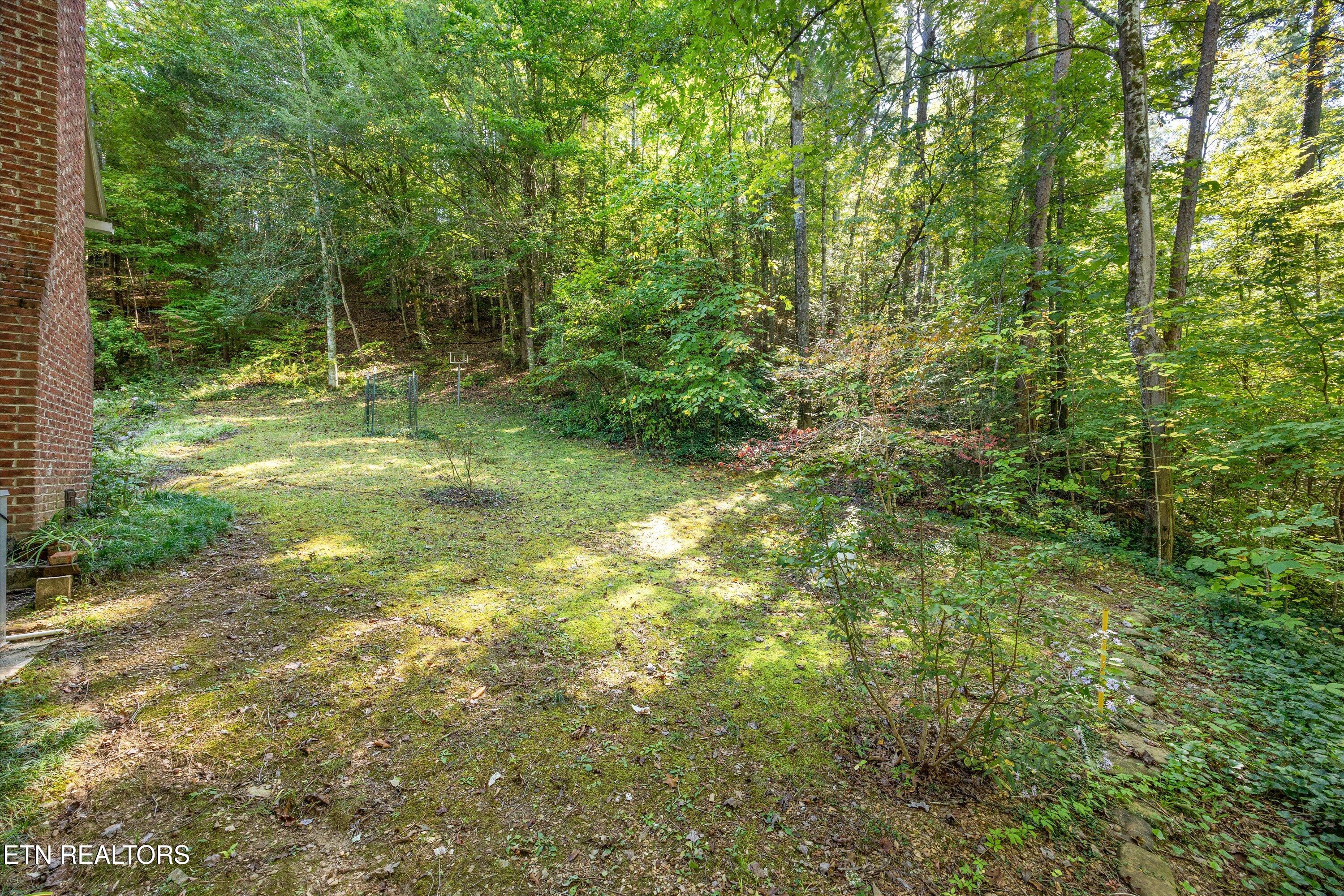 6831 Old Walland Highway Townsend TN 37882