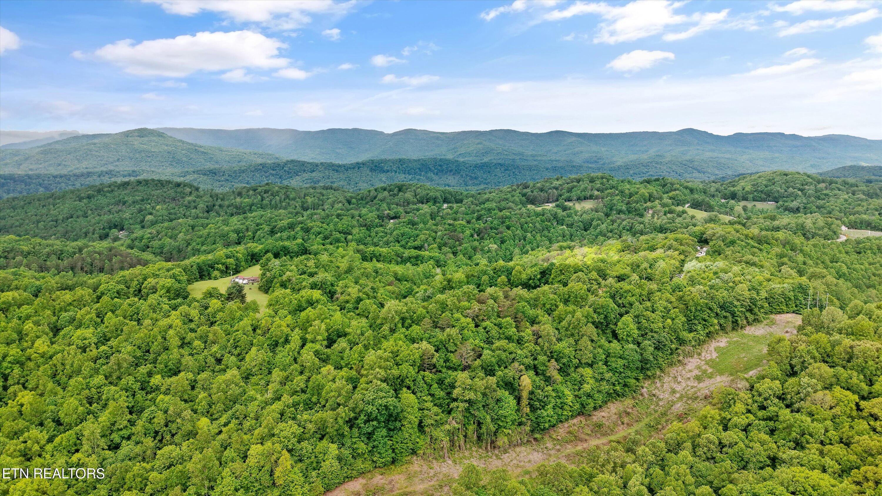 2719 Oak Grove Road Rocky Top TN 37769