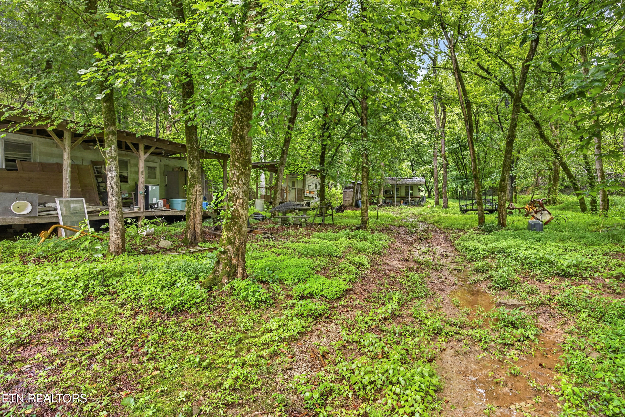 339 Wheeler Town Lane Bloomington Springs TN 38545