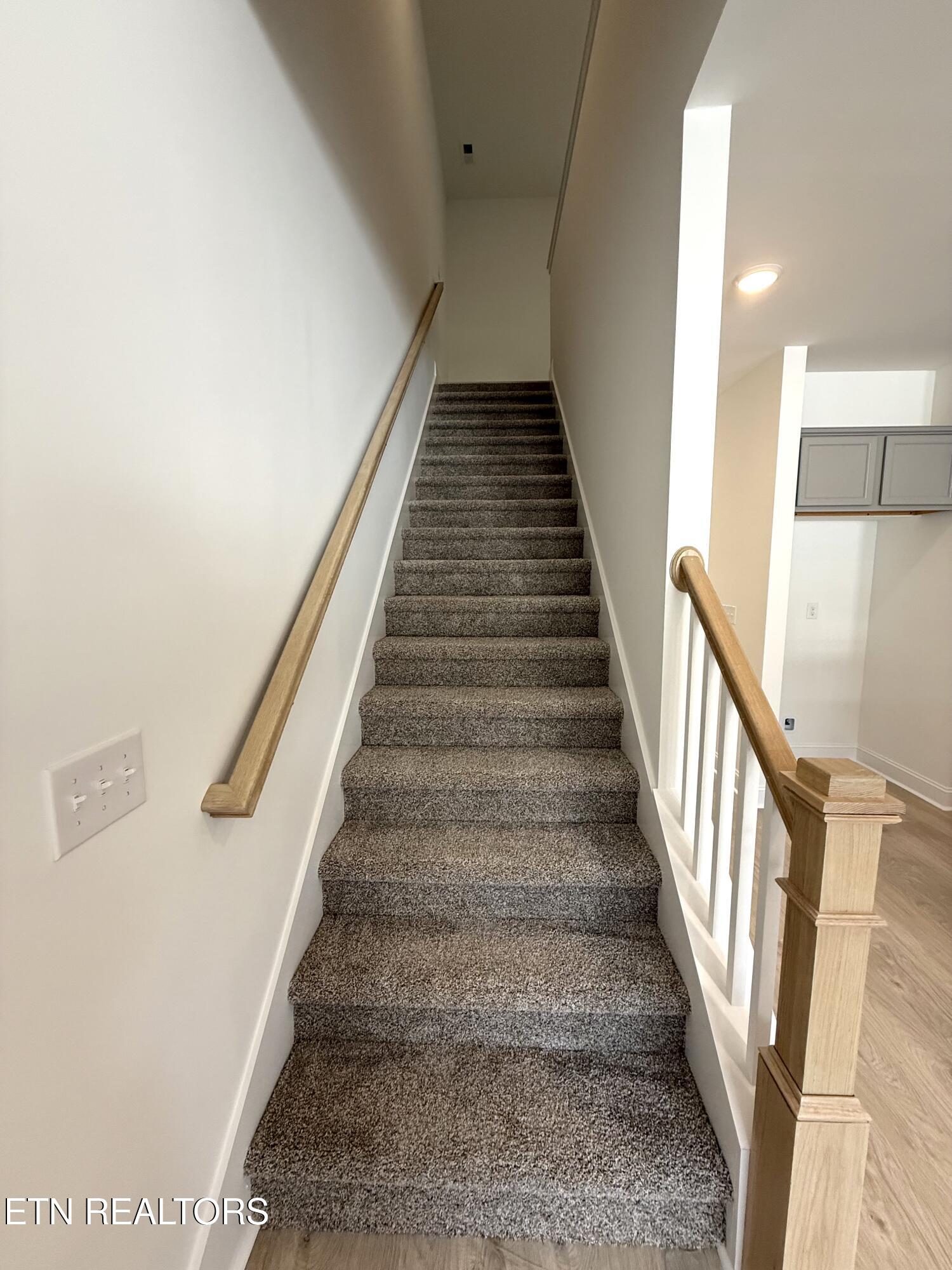 8848 Chapman Trace Way Knoxville TN 37920