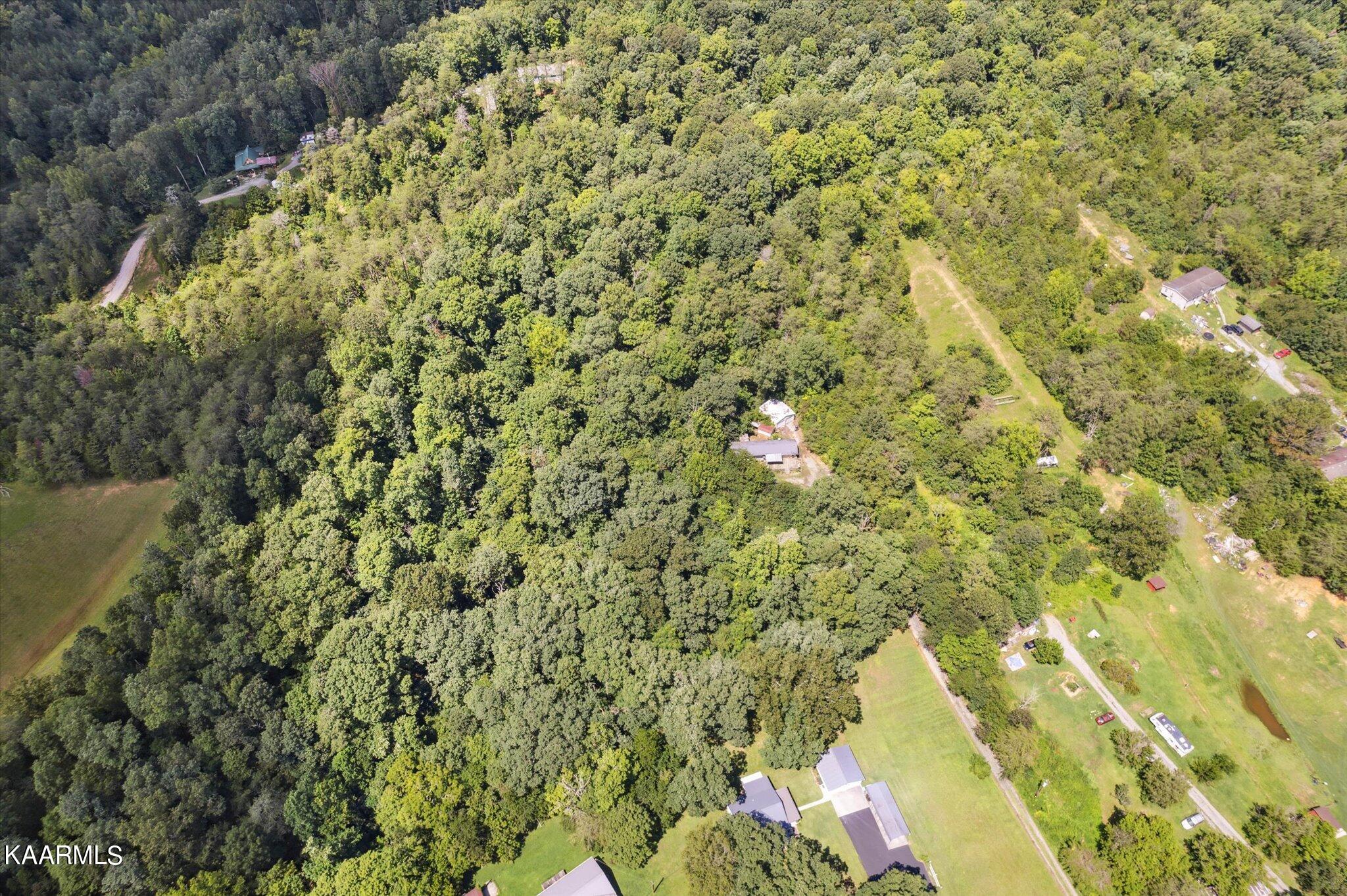 204 Hardin Road Kodak TN 37764