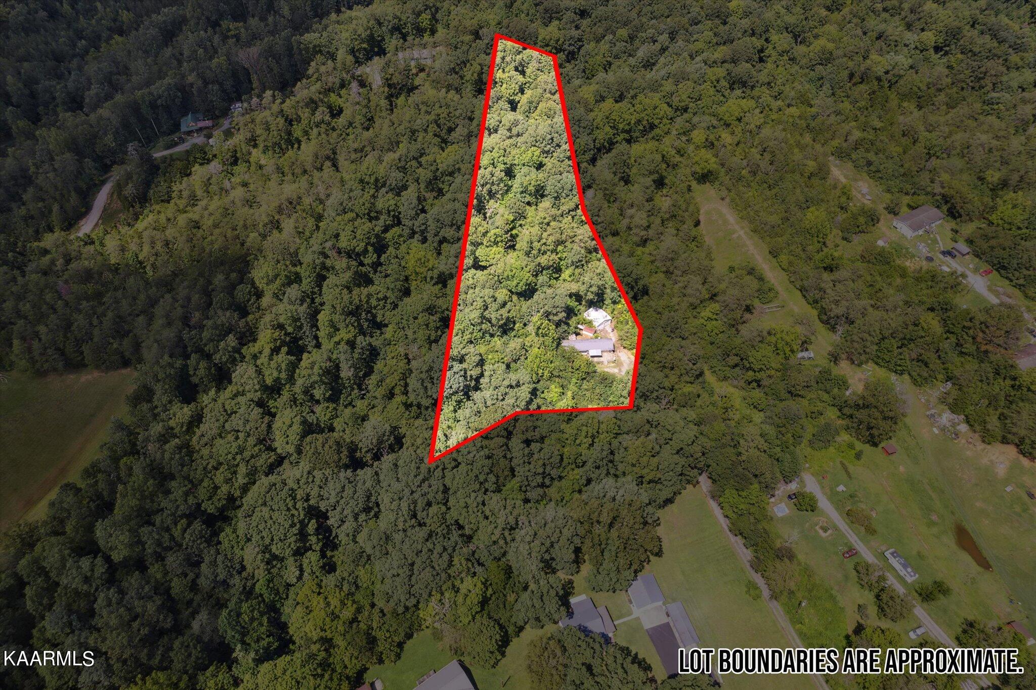 204 Hardin Road Kodak TN 37764