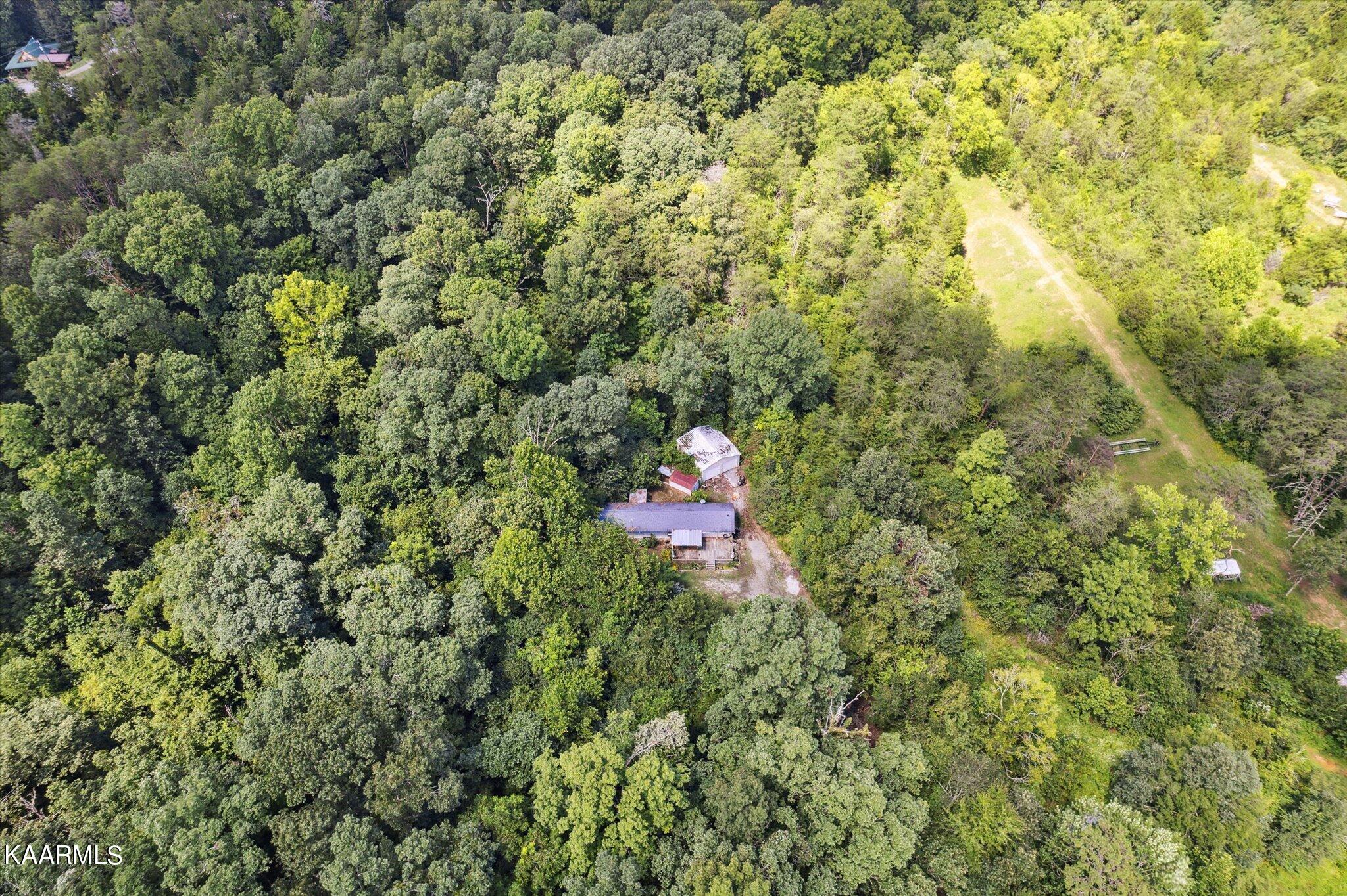 204 Hardin Road Kodak TN 37764