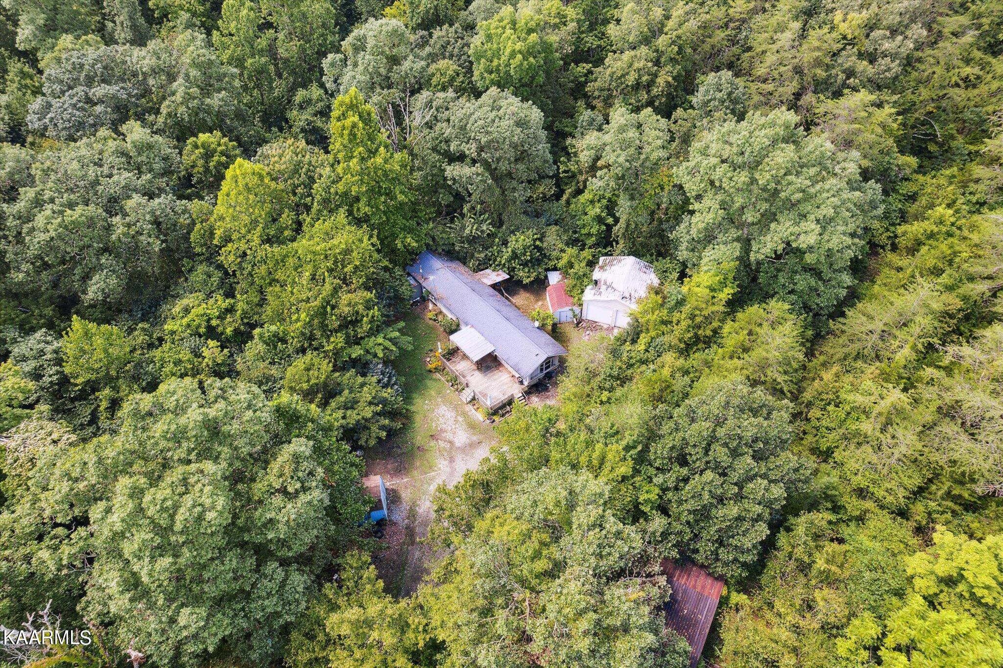 204 Hardin Road Kodak TN 37764