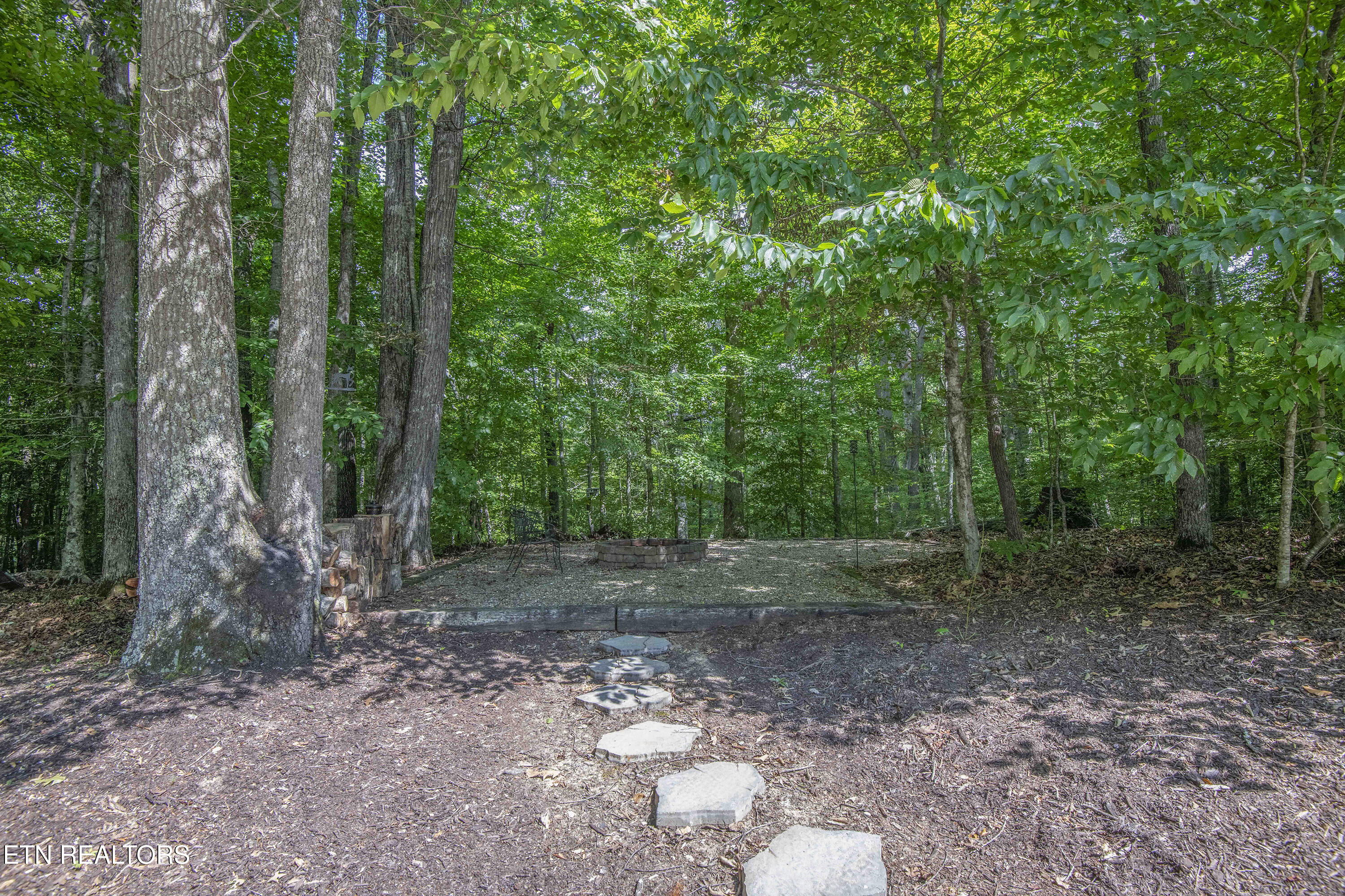 9915 Smoky Row Road Strawberry Plains TN 37871