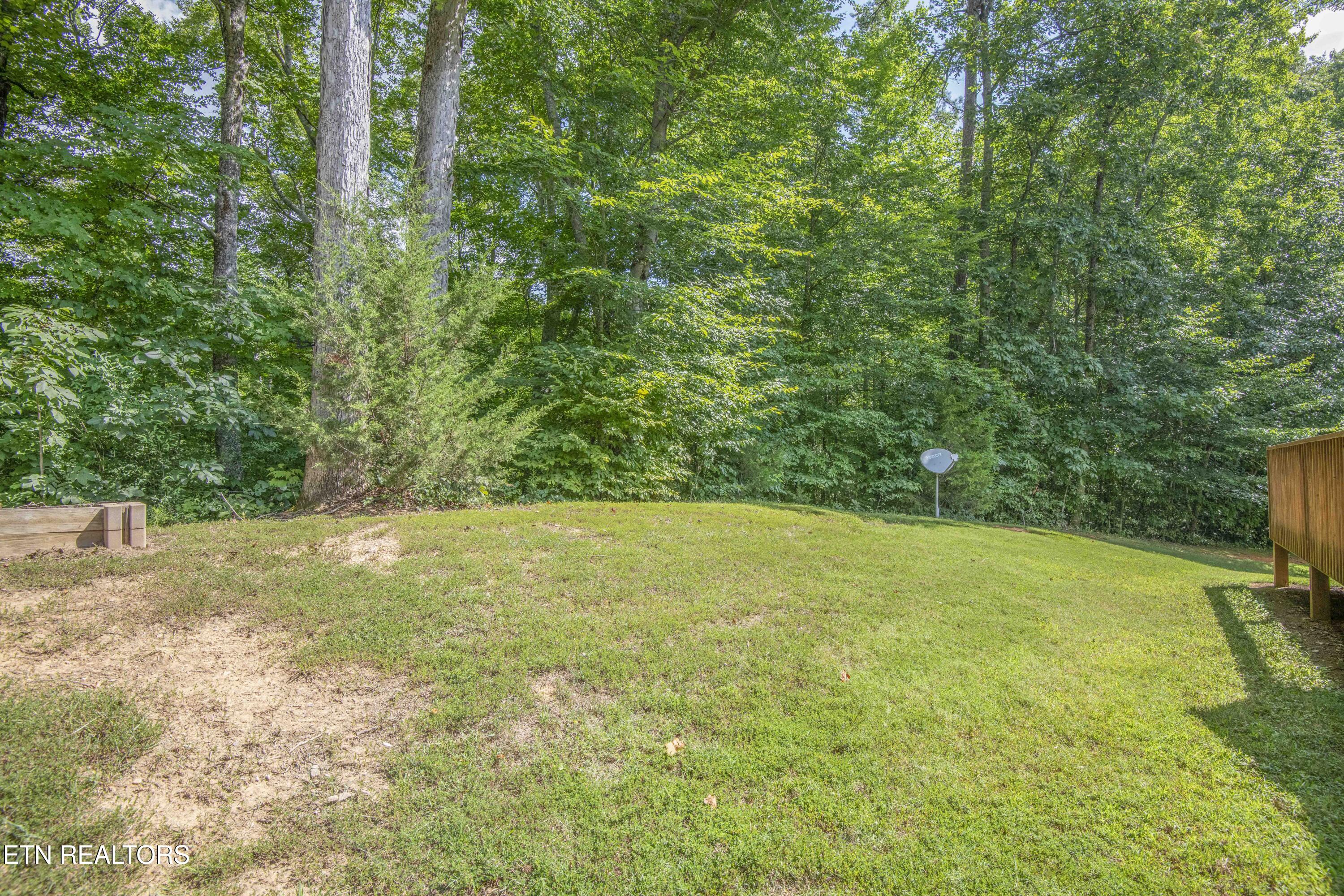 9915 Smoky Row Road Strawberry Plains TN 37871