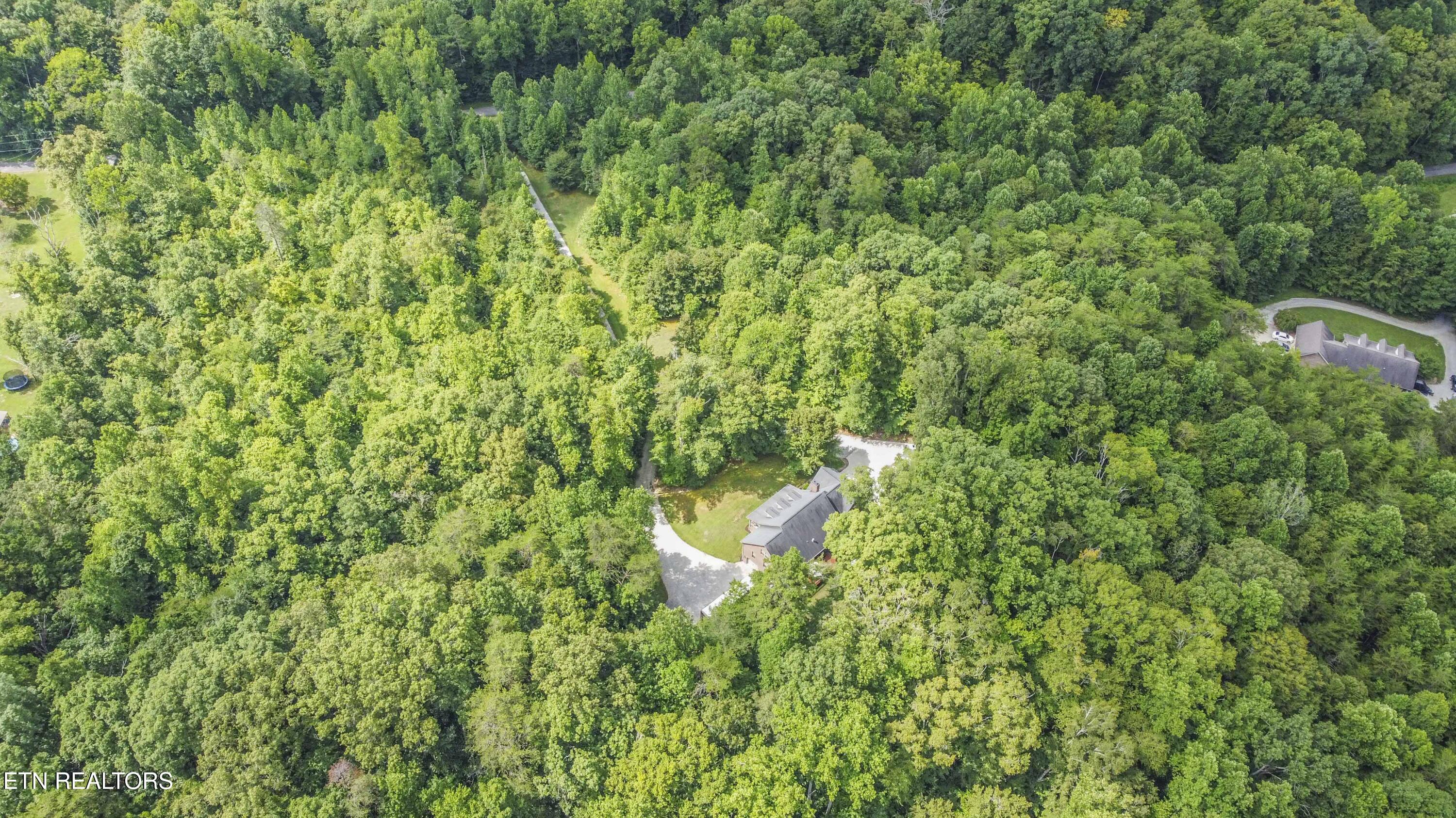 9915 Smoky Row Road Strawberry Plains TN 37871