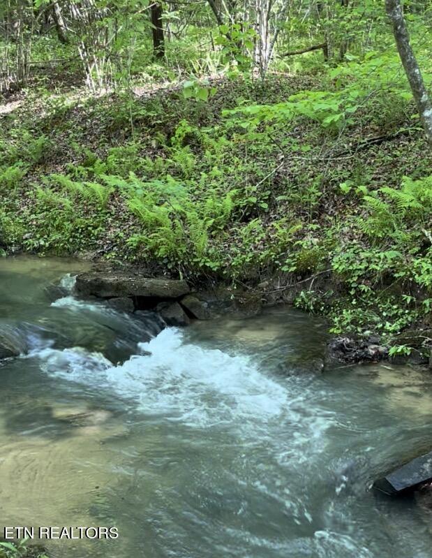 73 Creek Place Monterey TN 38574