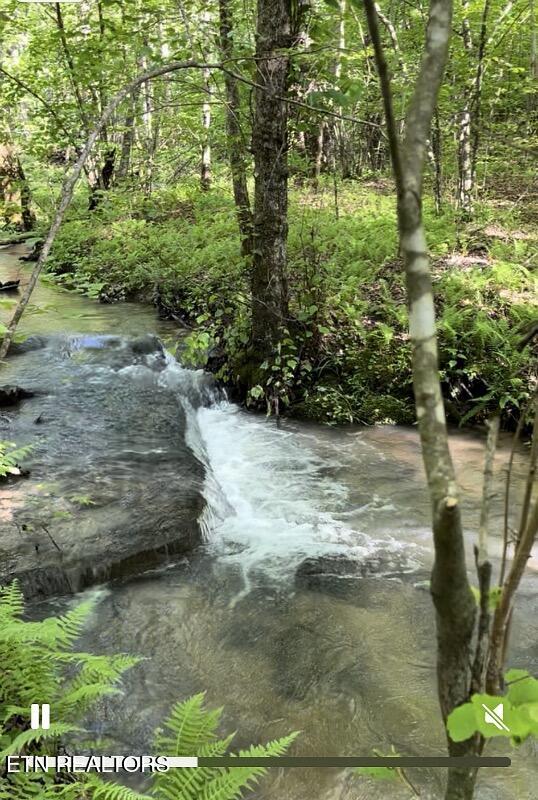 73 Creek Place Monterey TN 38574