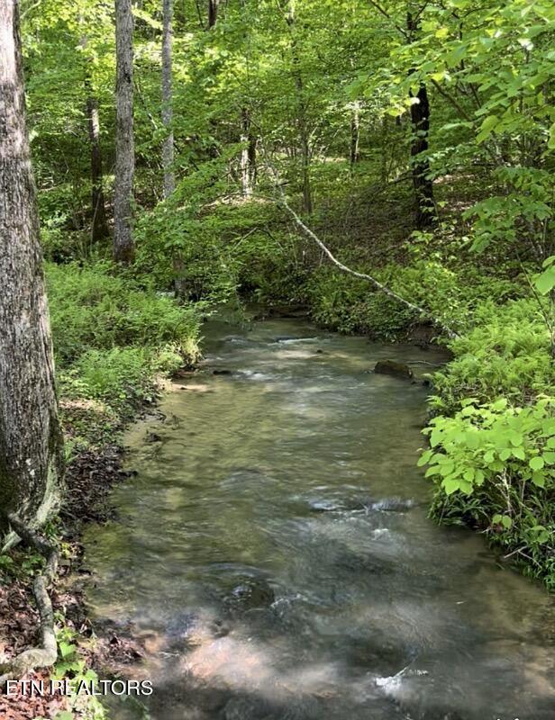 73 Creek Place Monterey TN 38574