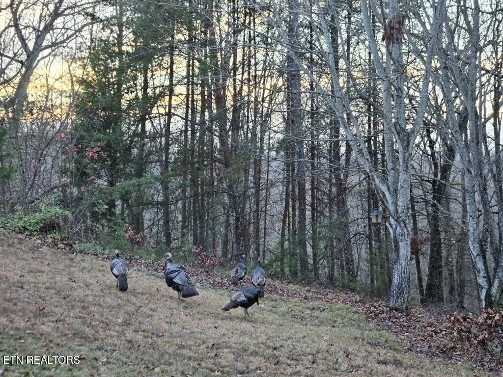 3792 Chilly Springs Road Maryville TN 37803
