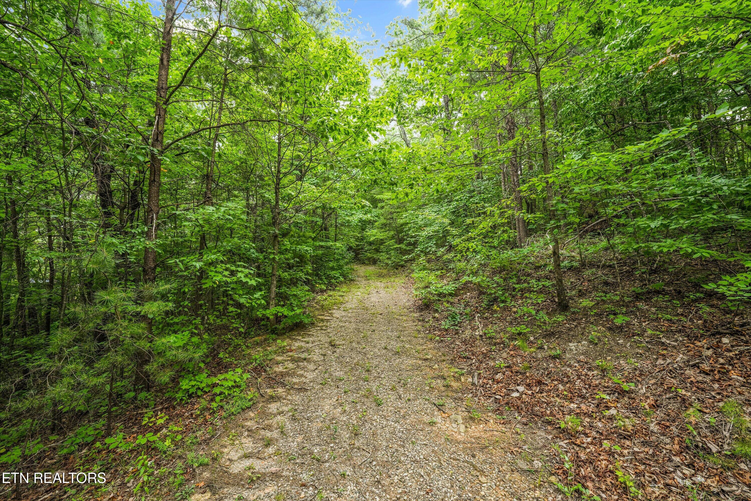 3792 Chilly Springs Road Maryville TN 37803