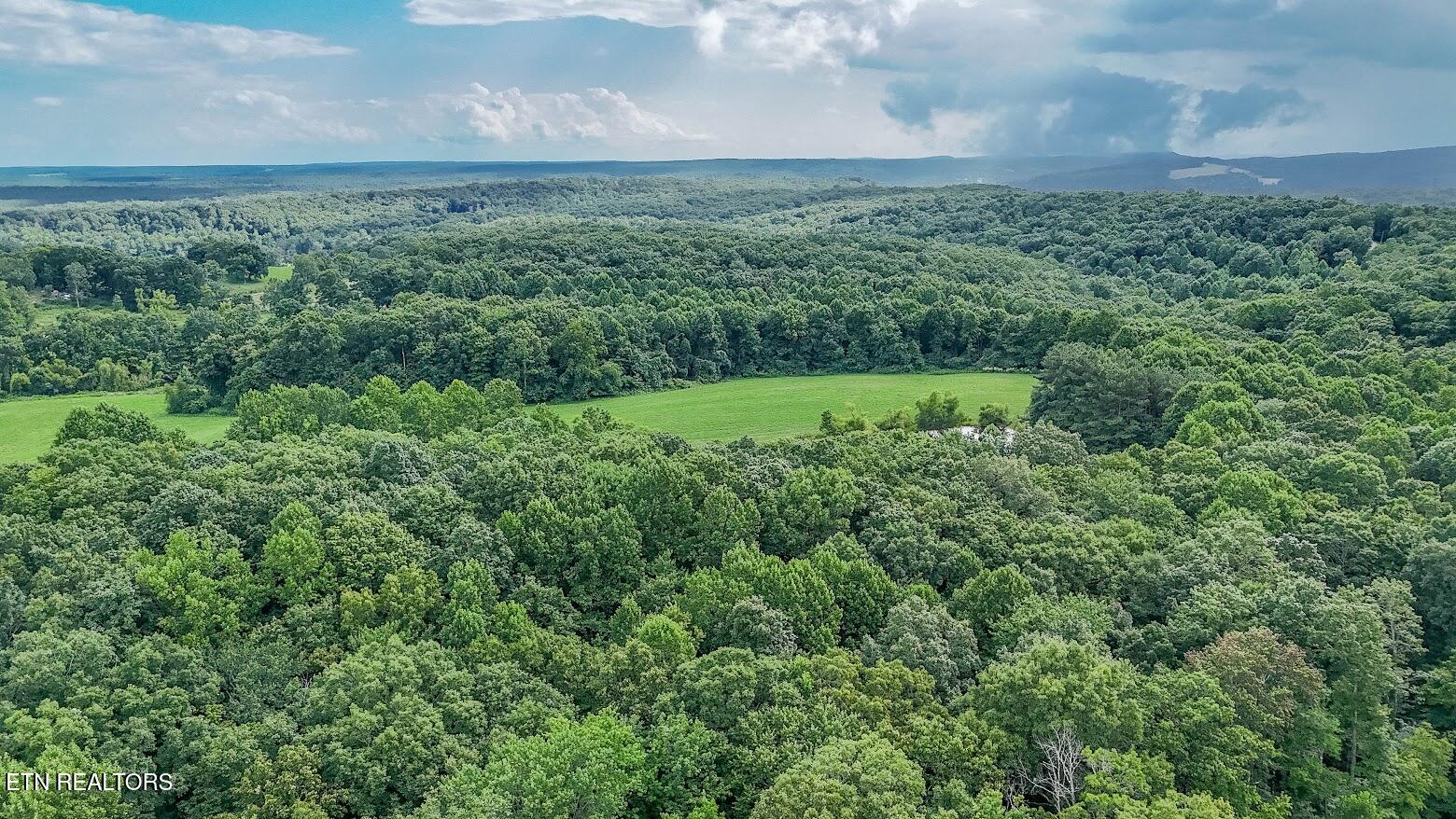 237 Chestnut Ridge Road Spring City TN 37381