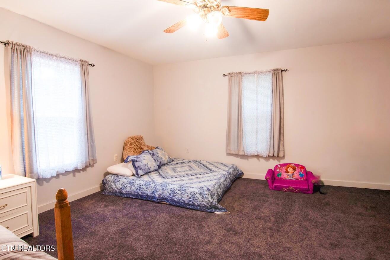 237 Chestnut Ridge Road Spring City TN 37381