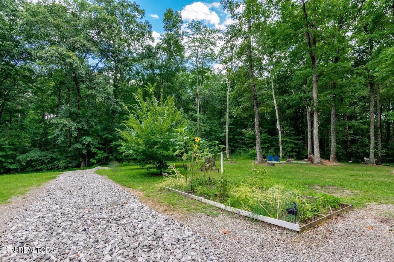 237 Chestnut Ridge Road Spring City TN 37381