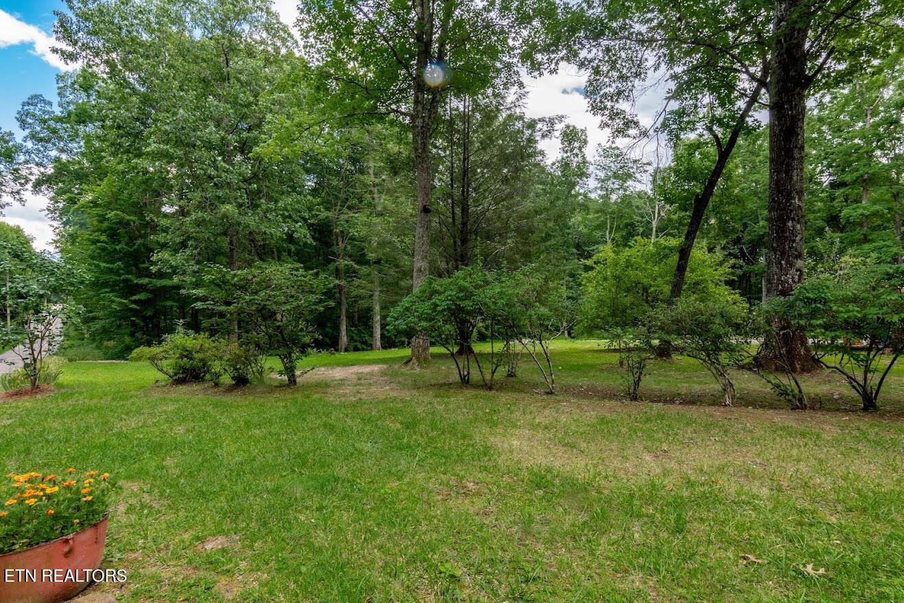 237 Chestnut Ridge Road Spring City TN 37381