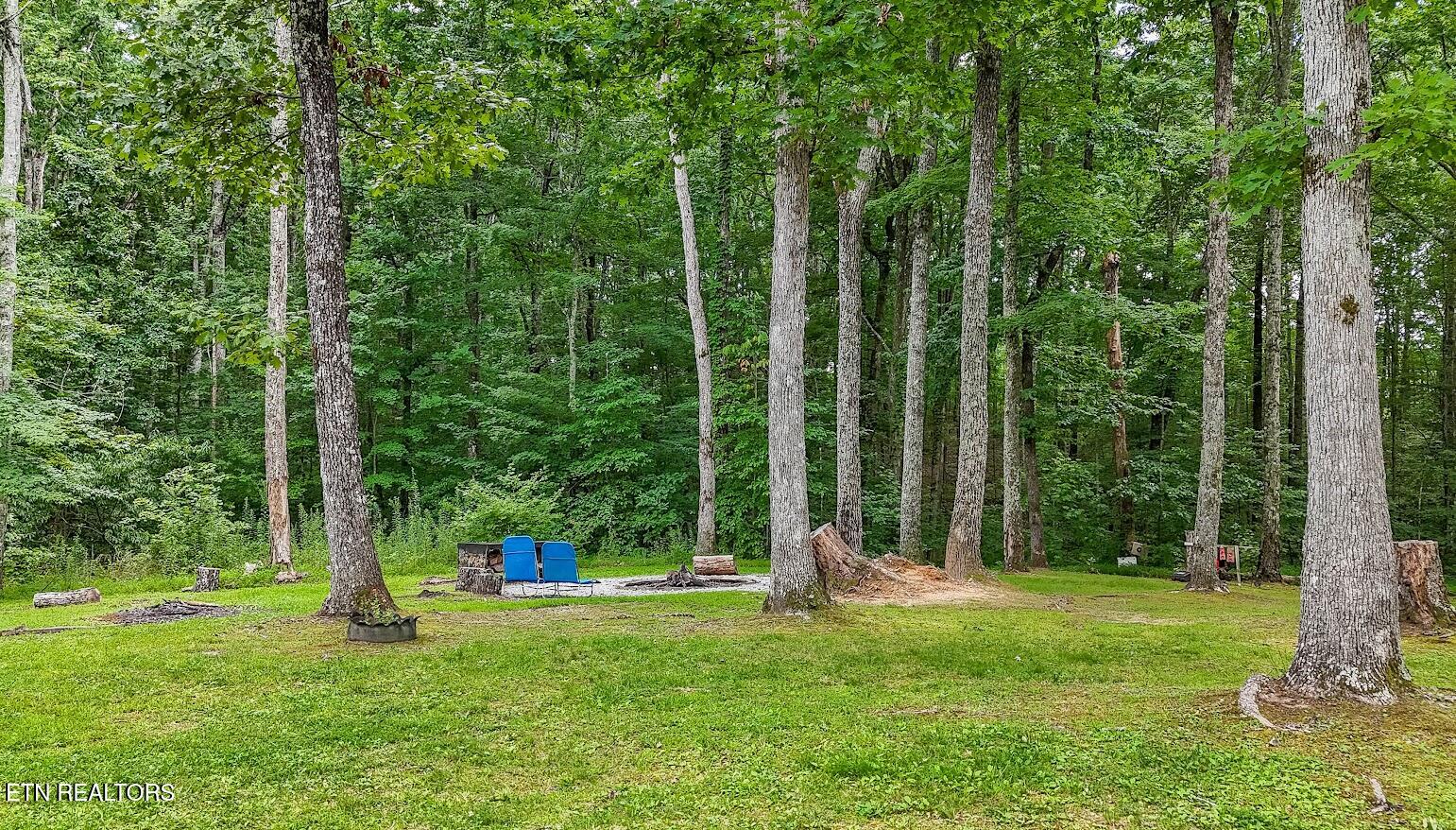 237 Chestnut Ridge Road Spring City TN 37381