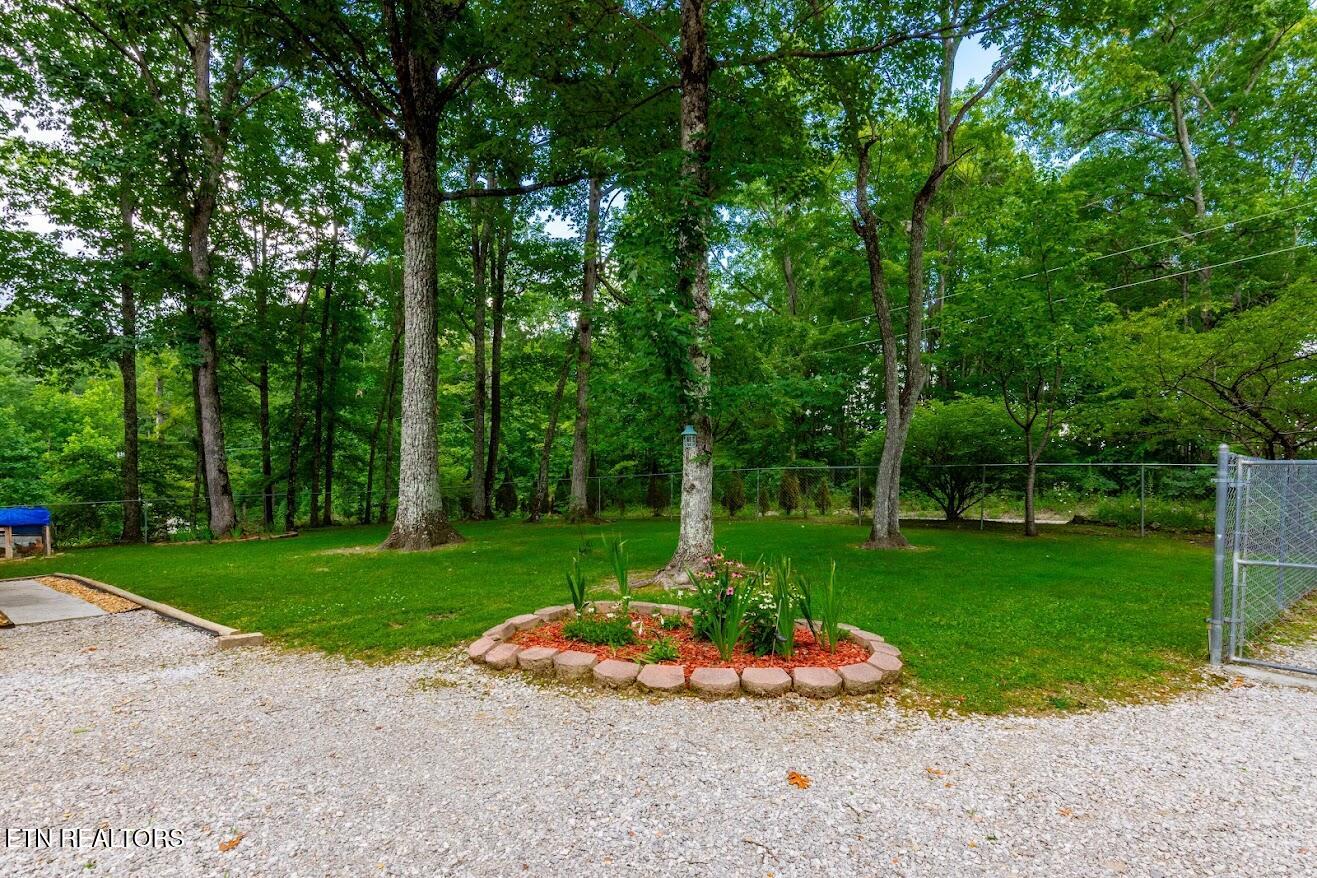 237 Chestnut Ridge Road Spring City TN 37381