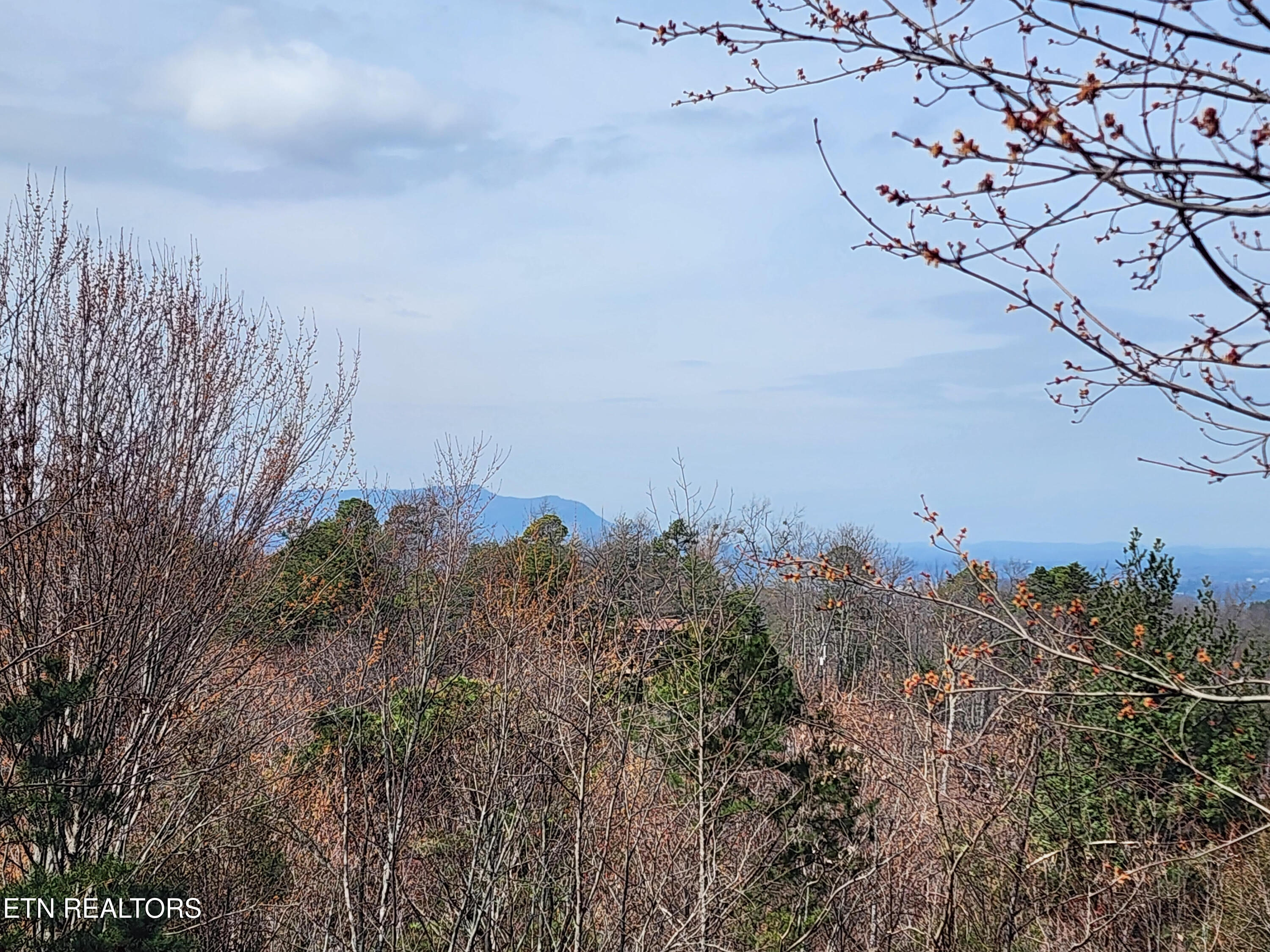 2134 Walnut Court Sevierville TN 37876