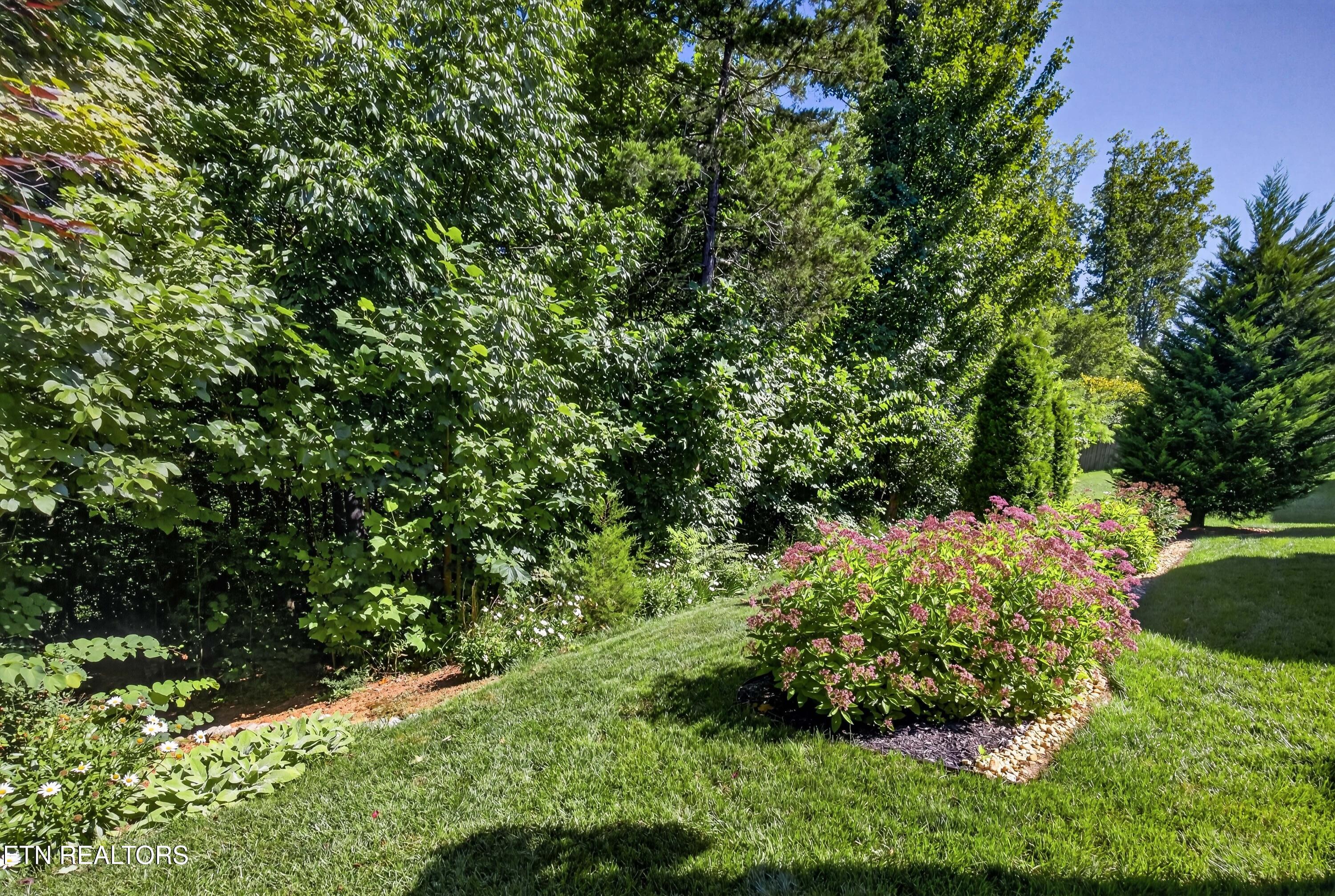 11827 Black Road Knoxville TN 37932