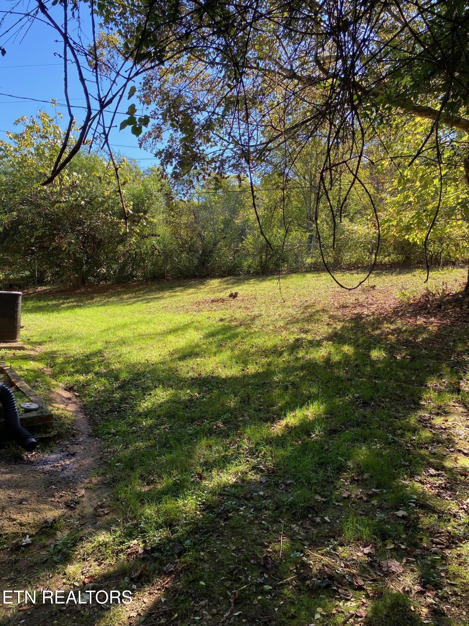 1011 Honeysuckle Drive Newport TN 37821