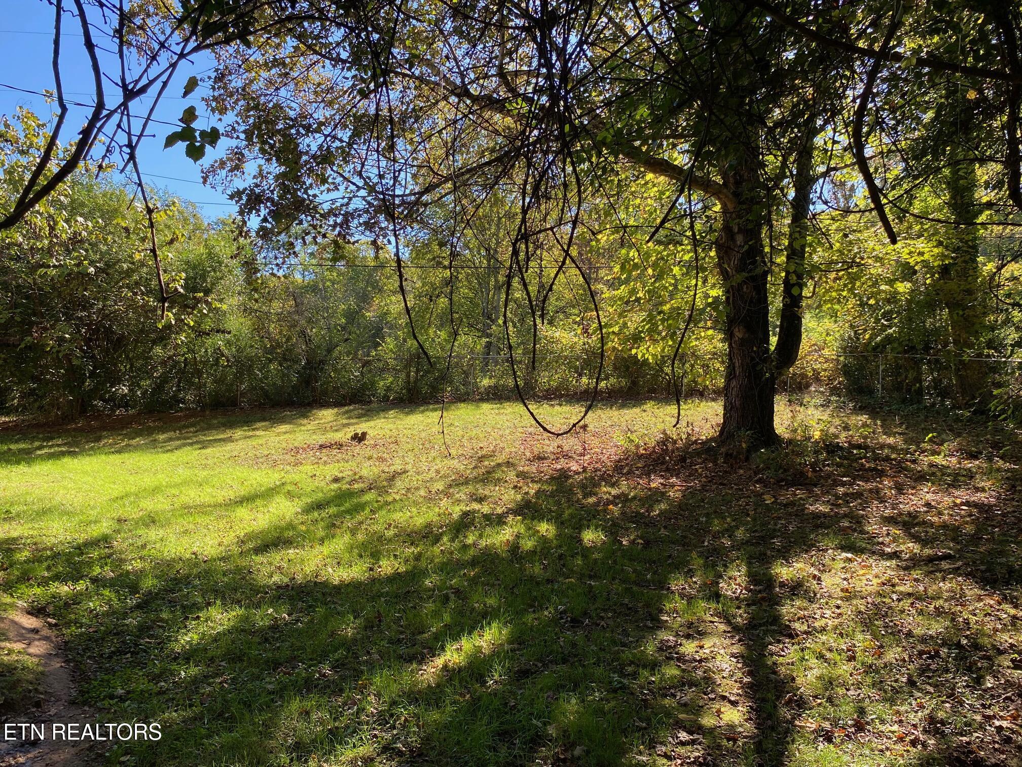 1011 Honeysuckle Drive Newport TN 37821